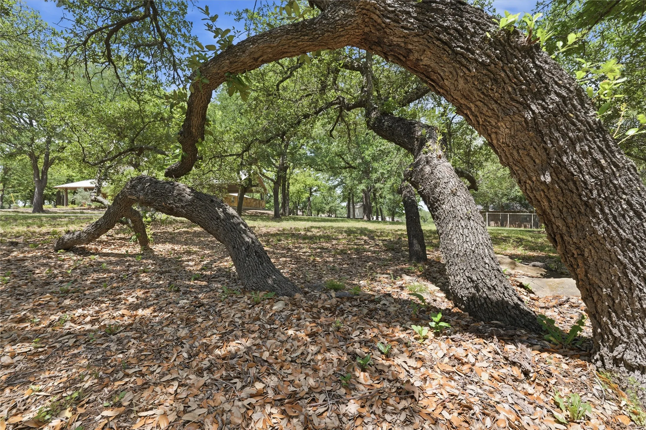 Single Family Residence For Sale in Parker County , 1528 Tidwell Road, Brock, Texas 76087, 3 Bedrooms, 3 Bathrooms, Garage spaces, 2,091 Sqft, built in 2002, Price $495,000, mls#21264237, Real Estate Agent in Brock, Homes For Sale in Parker county, Homes For Sale in Brock, Realtor in Brock Texas, Real Estate Brokerage Independent Realty Texas, Luminita Cordes Realtor