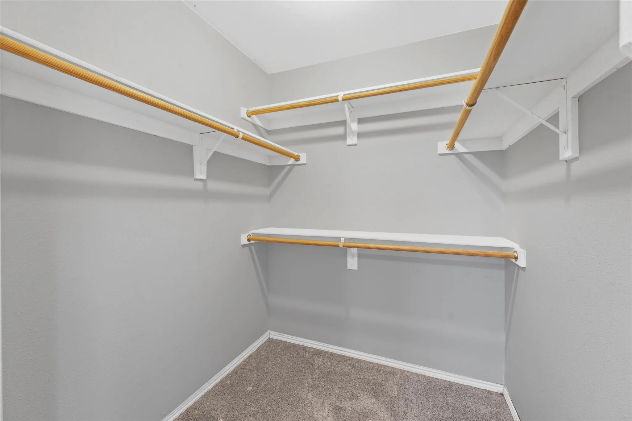 Walk-in closet featuring multiple wood-finish hanging rods, white shelving, and neutral carpeting