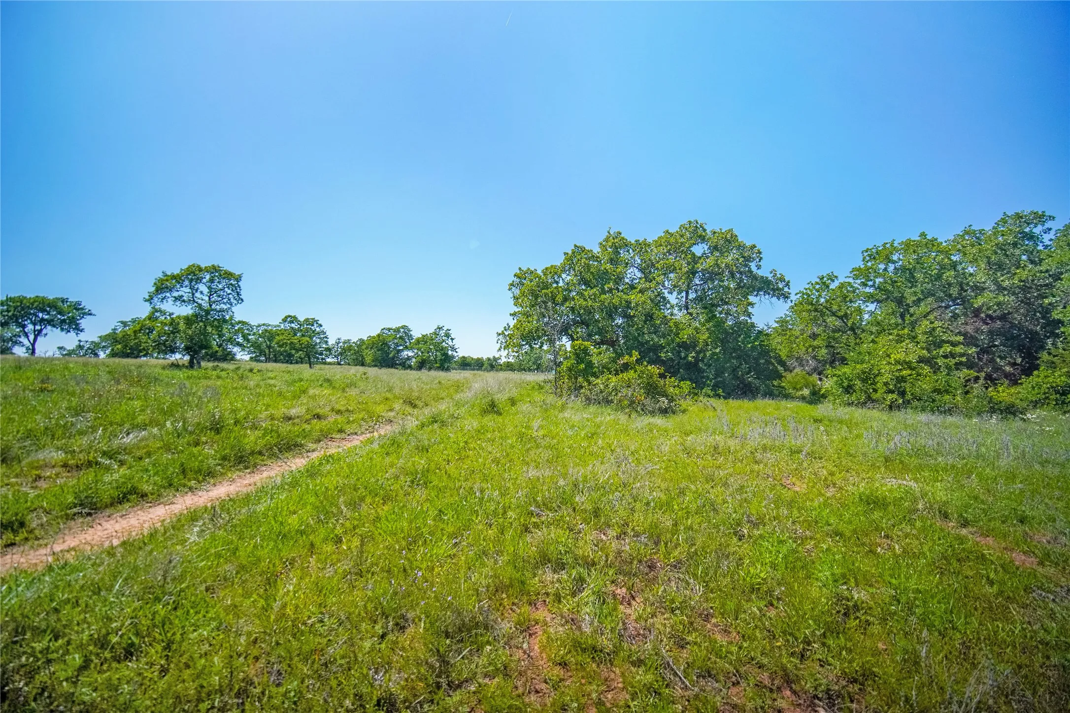 Ranch For Sale in Jack County , 136 Acres FM 2127, Bowie, Texas 76230, 0, 0, Garage spaces, 0 Sqft, built in 0, Price $1,360,000, mls#21264944, Real Estate Agent in Bowie, Homes For Sale in Jack county, Homes For Sale in Bowie, Realtor in Bowie Texas, Real Estate Brokerage Independent Realty Texas, Luminita Cordes Realtor