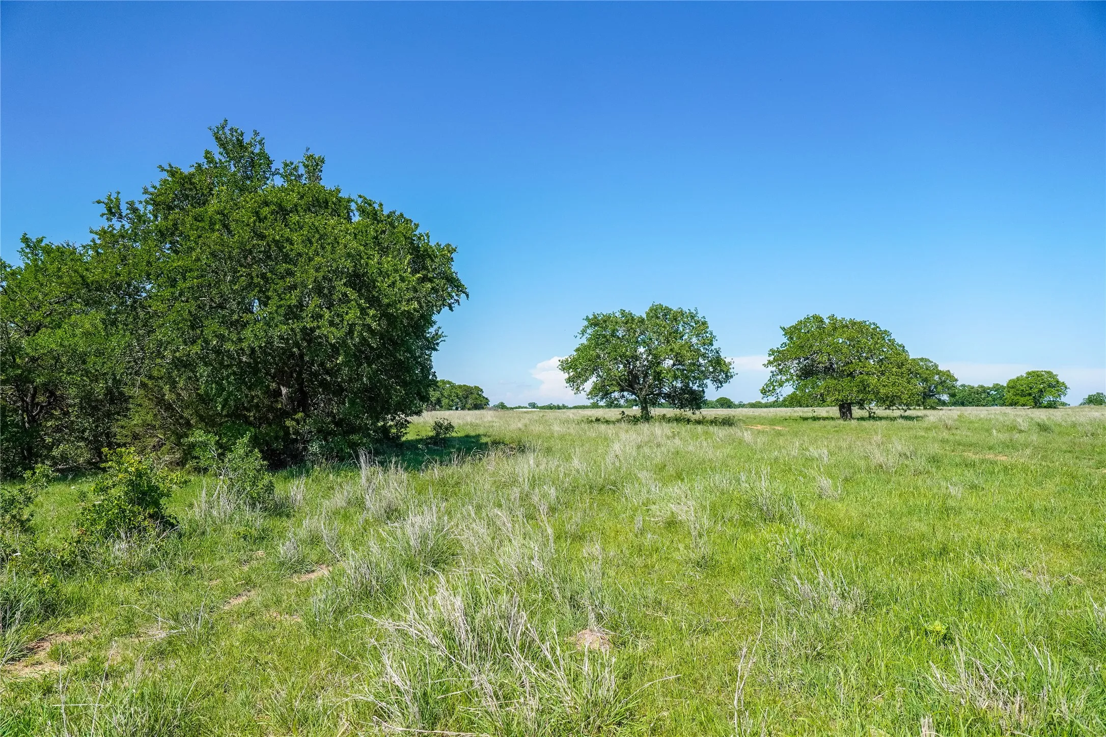 Ranch For Sale in Jack County , 136 Acres FM 2127, Bowie, Texas 76230, 0, 0, Garage spaces, 0 Sqft, built in 0, Price $1,360,000, mls#21264944, Real Estate Agent in Bowie, Homes For Sale in Jack county, Homes For Sale in Bowie, Realtor in Bowie Texas, Real Estate Brokerage Independent Realty Texas, Luminita Cordes Realtor