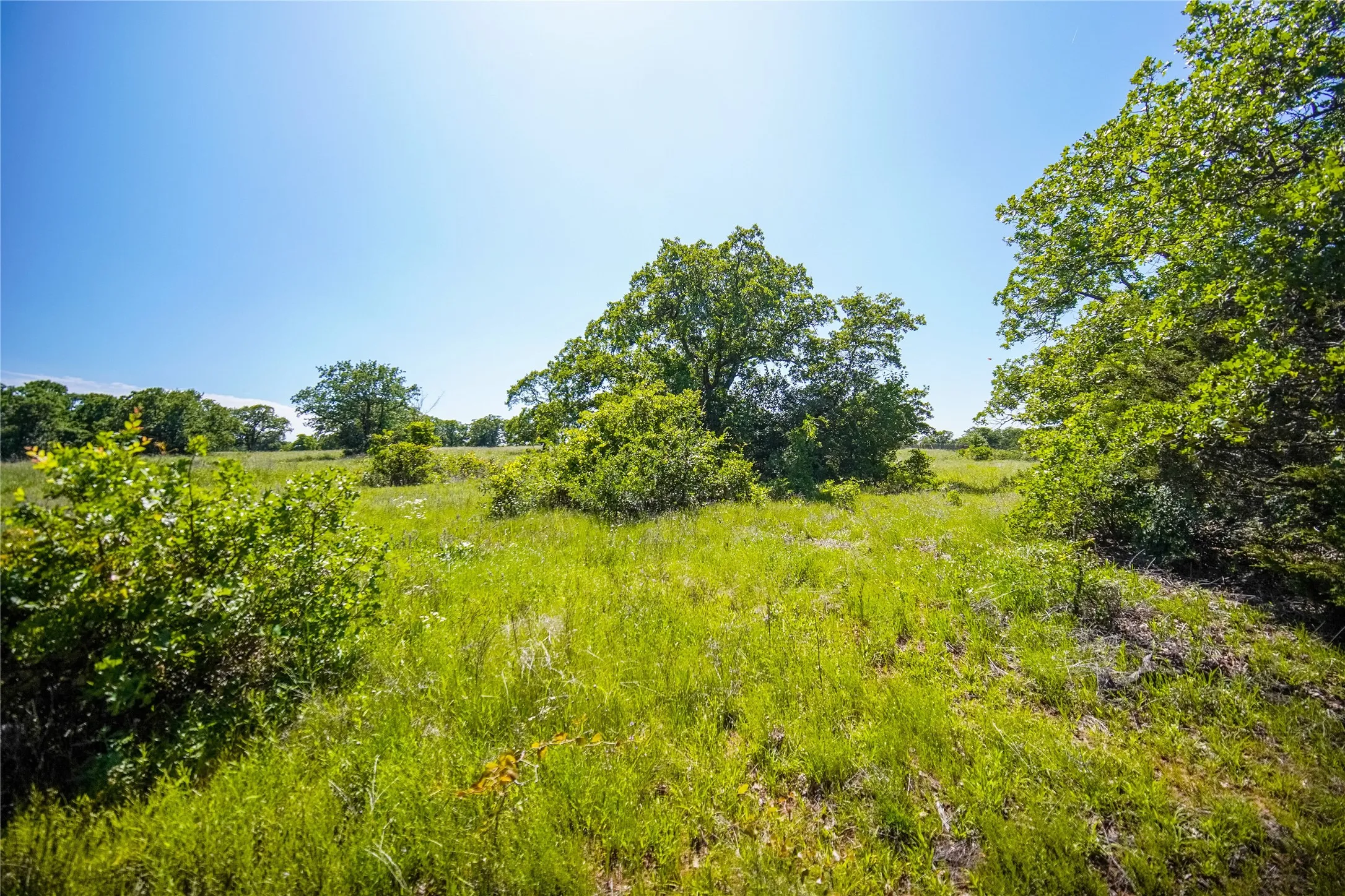 Ranch For Sale in Jack County , 136 Acres FM 2127, Bowie, Texas 76230, 0, 0, Garage spaces, 0 Sqft, built in 0, Price $1,360,000, mls#21264944, Real Estate Agent in Bowie, Homes For Sale in Jack county, Homes For Sale in Bowie, Realtor in Bowie Texas, Real Estate Brokerage Independent Realty Texas, Luminita Cordes Realtor