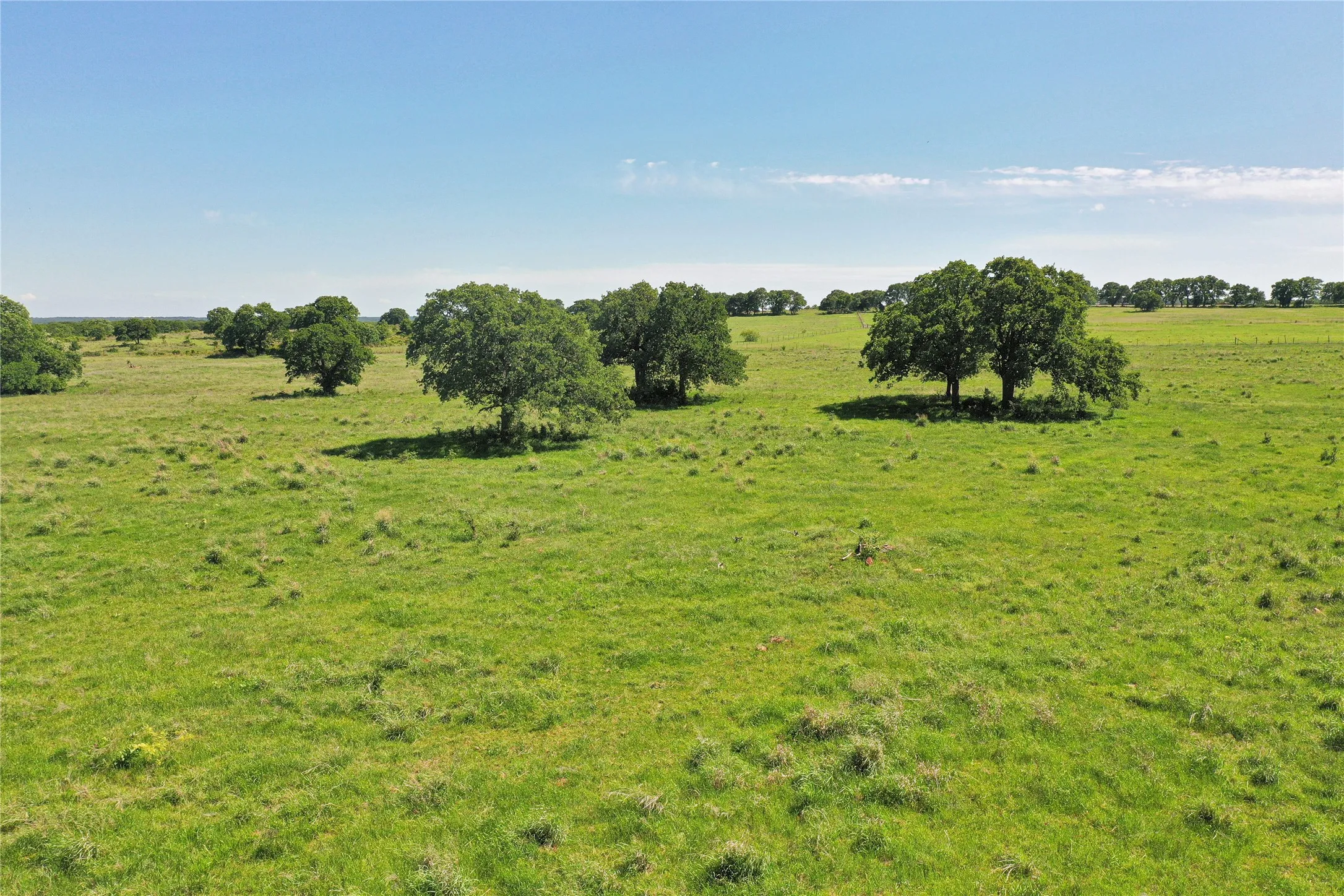 Ranch For Sale in Jack County , 136 Acres FM 2127, Bowie, Texas 76230, 0, 0, Garage spaces, 0 Sqft, built in 0, Price $1,360,000, mls#21264944, Real Estate Agent in Bowie, Homes For Sale in Jack county, Homes For Sale in Bowie, Realtor in Bowie Texas, Real Estate Brokerage Independent Realty Texas, Luminita Cordes Realtor