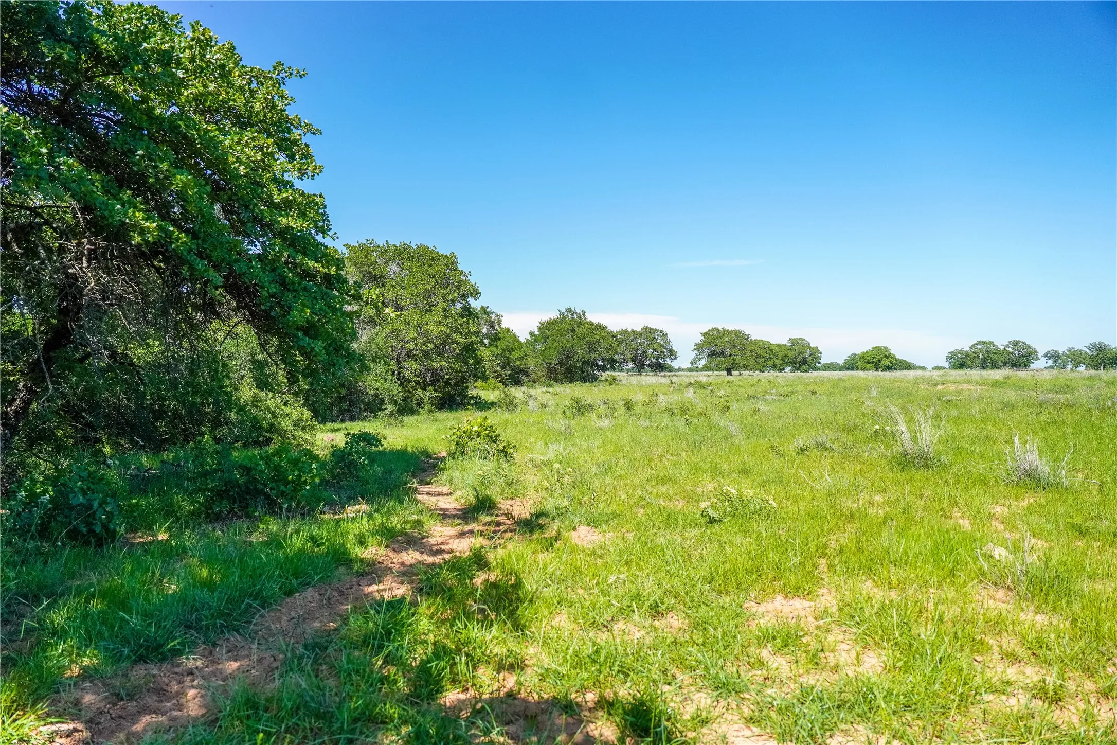 Ranch For Sale in Jack County , 136 Acres FM 2127, Bowie, Texas 76230, 0, 0, Garage spaces, 0 Sqft, built in 0, Price $1,360,000, mls#21264944, Real Estate Agent in Bowie, Homes For Sale in Jack county, Homes For Sale in Bowie, Realtor in Bowie Texas, Real Estate Brokerage Independent Realty Texas, Luminita Cordes Realtor
