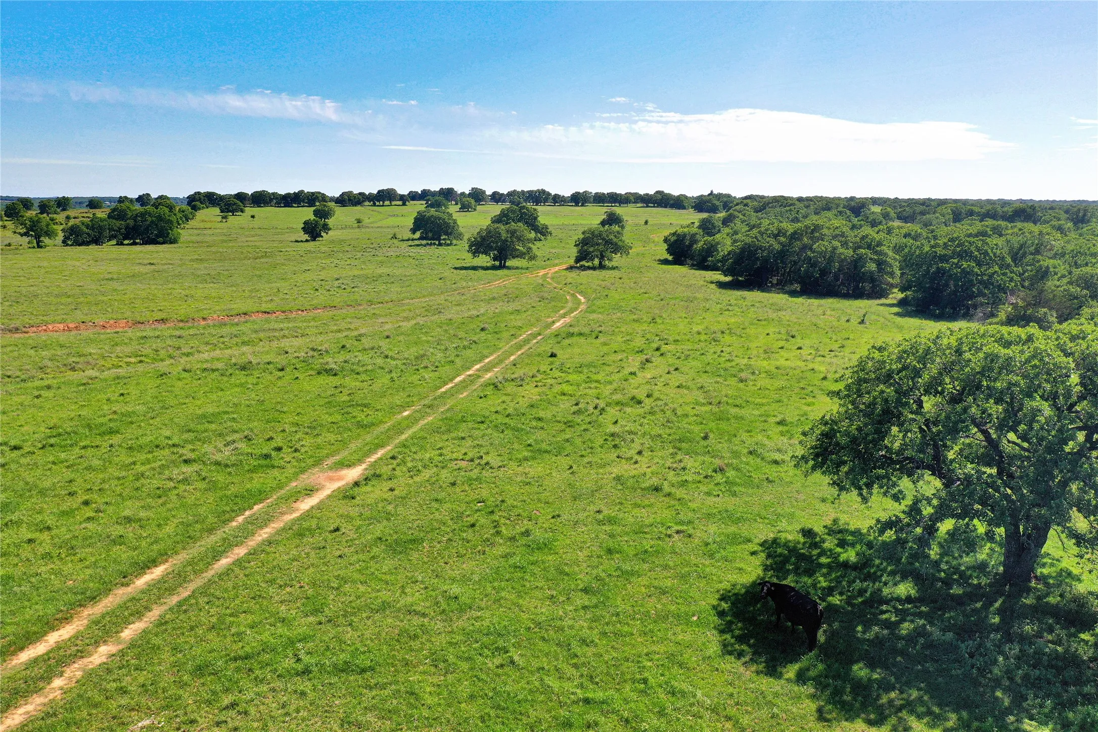 Ranch For Sale in Jack County , 136 Acres FM 2127, Bowie, Texas 76230, 0, 0, Garage spaces, 0 Sqft, built in 0, Price $1,360,000, mls#21264944, Real Estate Agent in Bowie, Homes For Sale in Jack county, Homes For Sale in Bowie, Realtor in Bowie Texas, Real Estate Brokerage Independent Realty Texas, Luminita Cordes Realtor