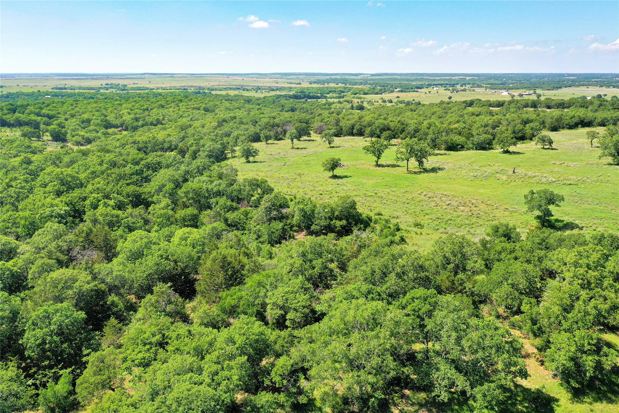 Ranch For Sale in Jack County , 136 Acres FM 2127, Bowie, Texas 76230, 0, 0, Garage spaces, 0 Sqft, built in 0, Price $1,360,000, mls#21264944, Real Estate Agent in Bowie, Homes For Sale in Jack county, Homes For Sale in Bowie, Realtor in Bowie Texas, Real Estate Brokerage Independent Realty Texas, Luminita Cordes Realtor