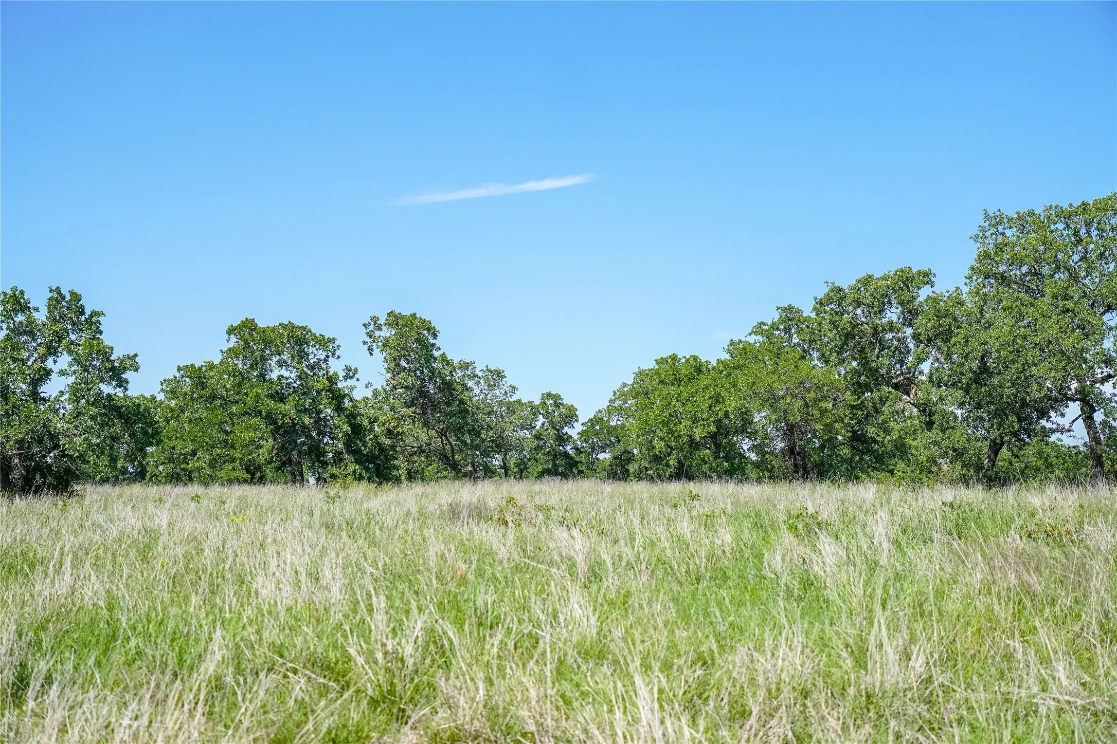 Ranch For Sale in Jack County , 136 Acres FM 2127, Bowie, Texas 76230, 0, 0, Garage spaces, 0 Sqft, built in 0, Price $1,360,000, mls#21264944, Real Estate Agent in Bowie, Homes For Sale in Jack county, Homes For Sale in Bowie, Realtor in Bowie Texas, Real Estate Brokerage Independent Realty Texas, Luminita Cordes Realtor