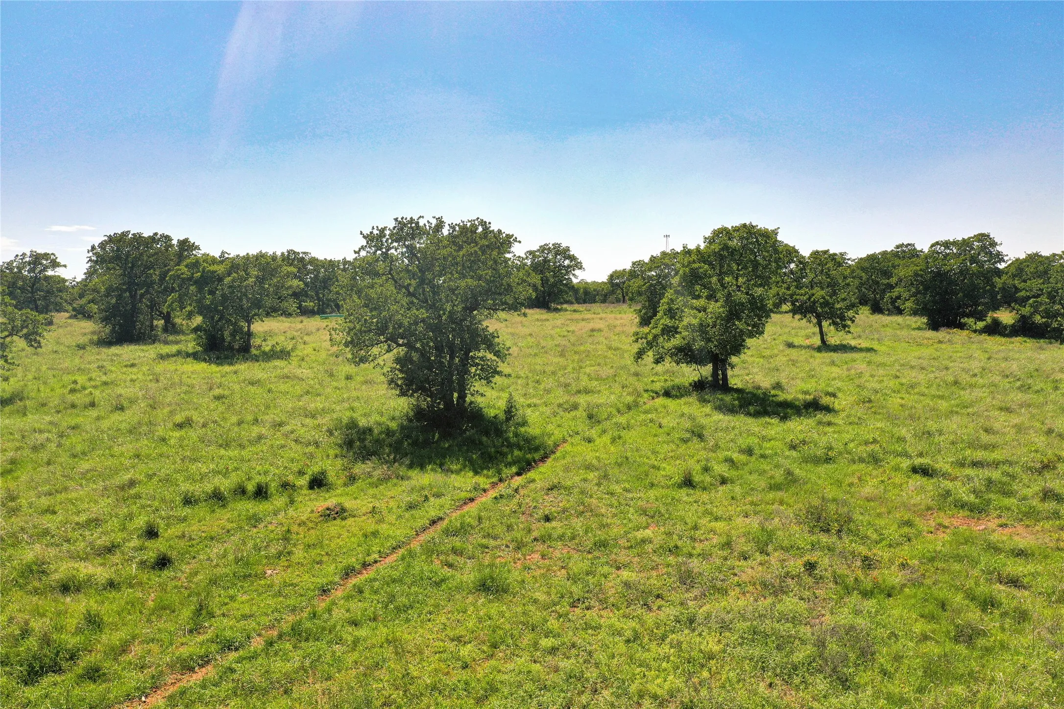 Ranch For Sale in Jack County , 136 Acres FM 2127, Bowie, Texas 76230, 0, 0, Garage spaces, 0 Sqft, built in 0, Price $1,360,000, mls#21264944, Real Estate Agent in Bowie, Homes For Sale in Jack county, Homes For Sale in Bowie, Realtor in Bowie Texas, Real Estate Brokerage Independent Realty Texas, Luminita Cordes Realtor