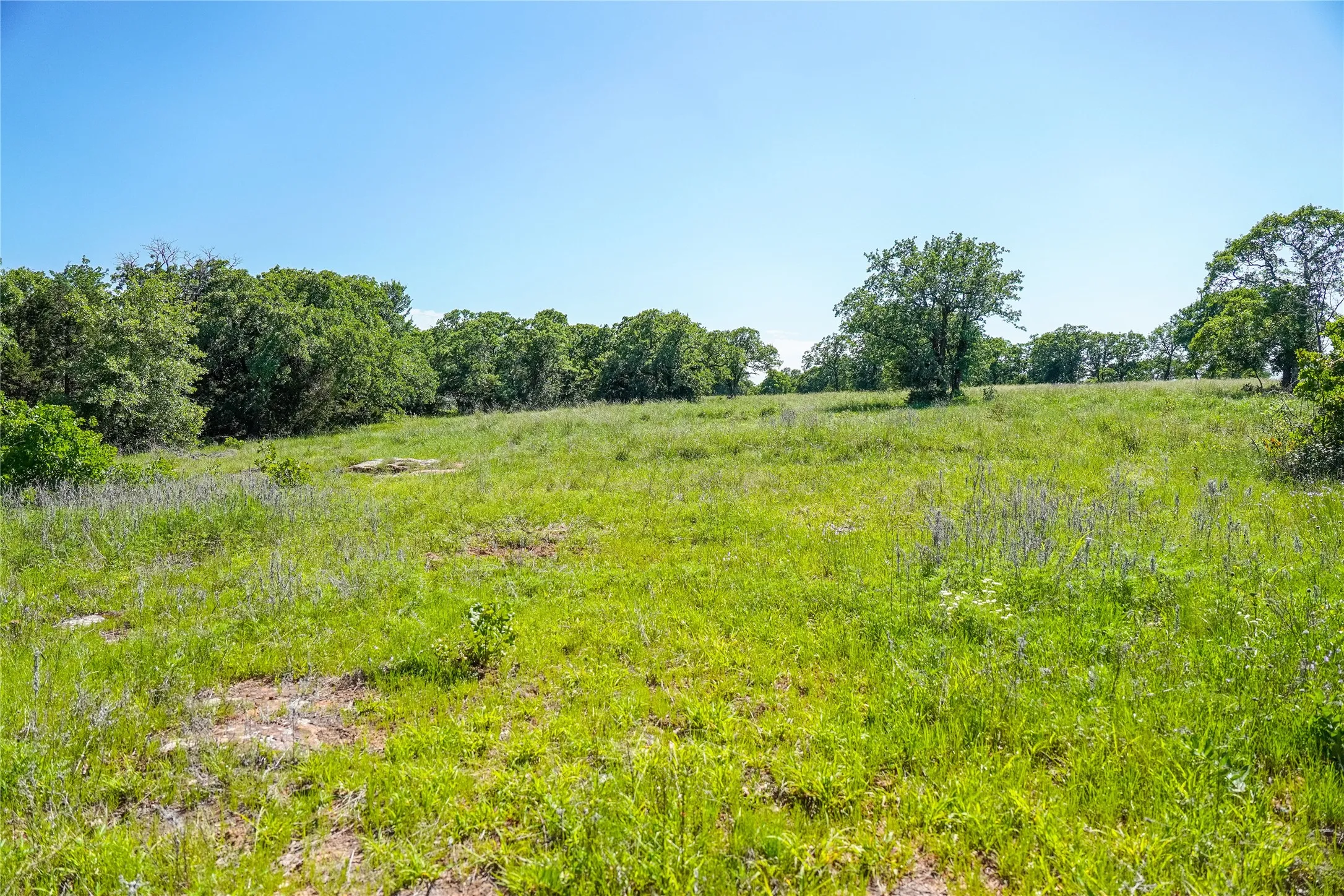 Ranch For Sale in Jack County , 136 Acres FM 2127, Bowie, Texas 76230, 0, 0, Garage spaces, 0 Sqft, built in 0, Price $1,360,000, mls#21264944, Real Estate Agent in Bowie, Homes For Sale in Jack county, Homes For Sale in Bowie, Realtor in Bowie Texas, Real Estate Brokerage Independent Realty Texas, Luminita Cordes Realtor