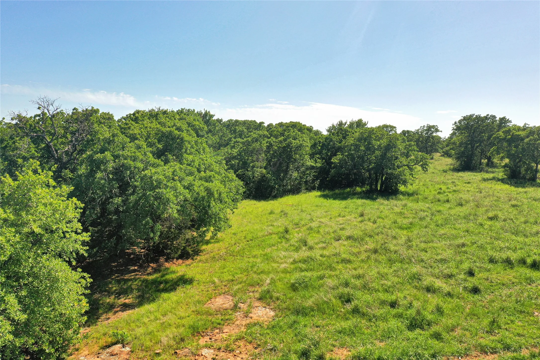 Ranch For Sale in Jack County , 136 Acres FM 2127, Bowie, Texas 76230, 0, 0, Garage spaces, 0 Sqft, built in 0, Price $1,360,000, mls#21264944, Real Estate Agent in Bowie, Homes For Sale in Jack county, Homes For Sale in Bowie, Realtor in Bowie Texas, Real Estate Brokerage Independent Realty Texas, Luminita Cordes Realtor