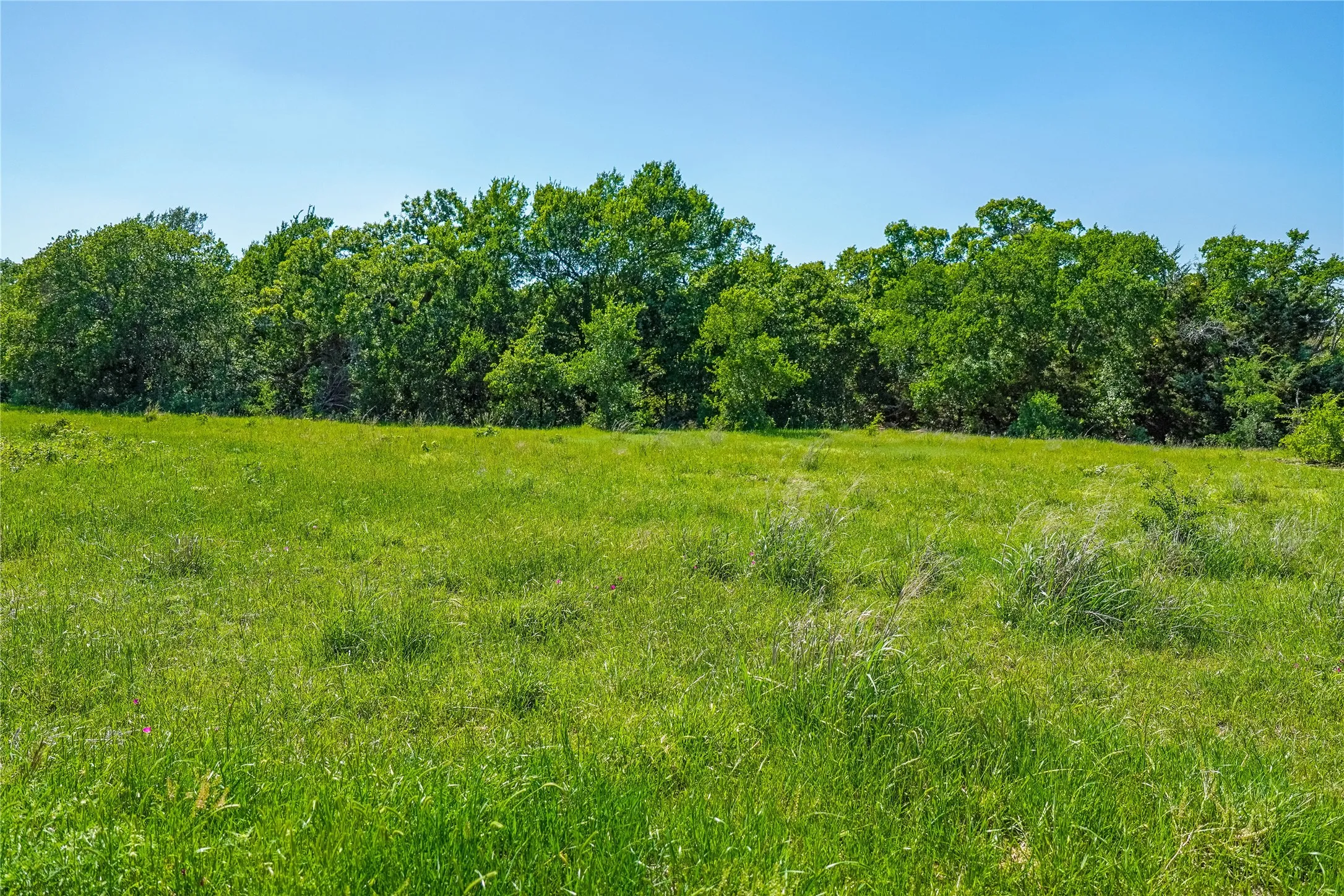 Ranch For Sale in Jack County , 136 Acres FM 2127, Bowie, Texas 76230, 0, 0, Garage spaces, 0 Sqft, built in 0, Price $1,360,000, mls#21264944, Real Estate Agent in Bowie, Homes For Sale in Jack county, Homes For Sale in Bowie, Realtor in Bowie Texas, Real Estate Brokerage Independent Realty Texas, Luminita Cordes Realtor