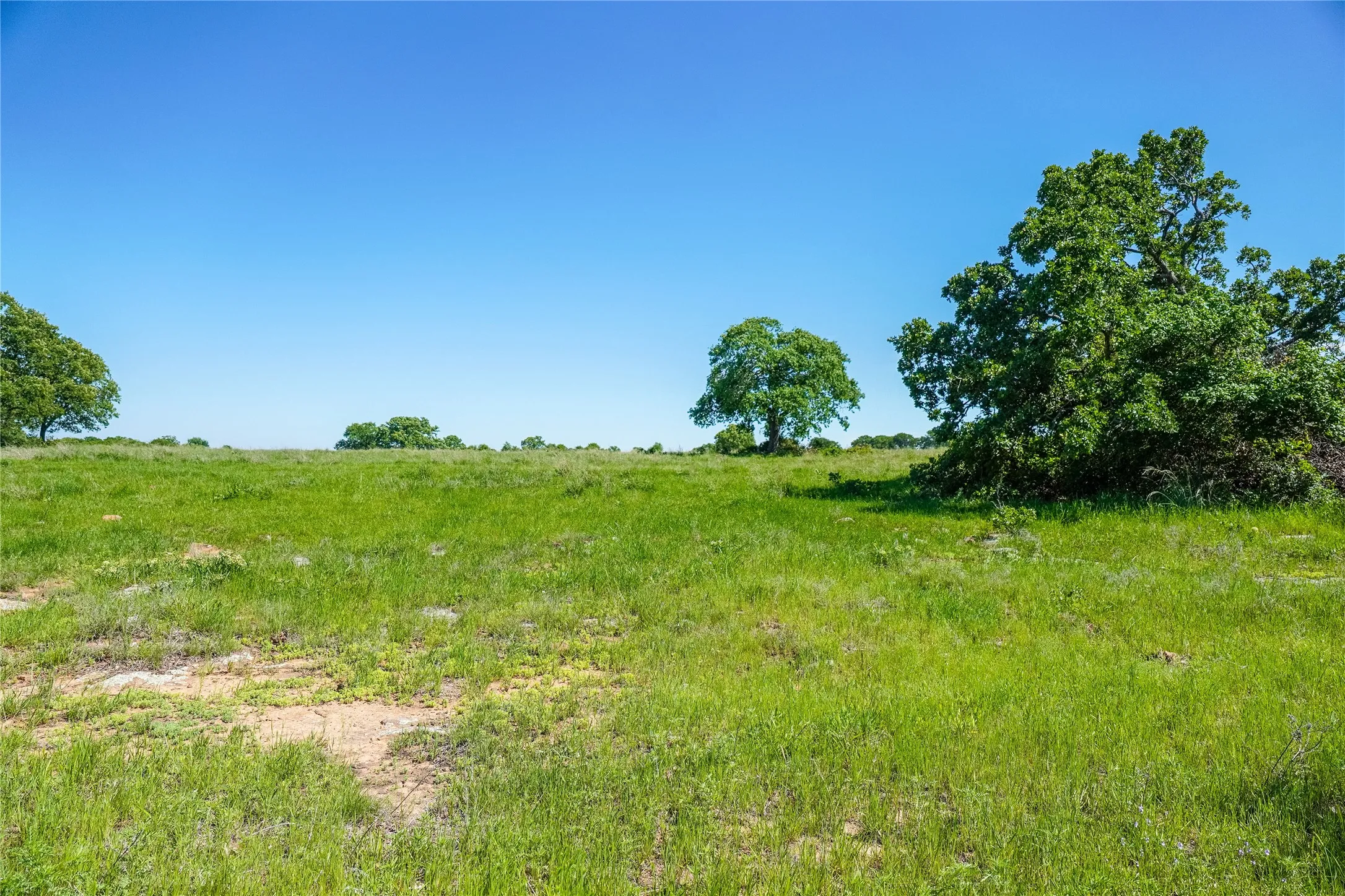 Ranch For Sale in Jack County , 136 Acres FM 2127, Bowie, Texas 76230, 0, 0, Garage spaces, 0 Sqft, built in 0, Price $1,360,000, mls#21264944, Real Estate Agent in Bowie, Homes For Sale in Jack county, Homes For Sale in Bowie, Realtor in Bowie Texas, Real Estate Brokerage Independent Realty Texas, Luminita Cordes Realtor