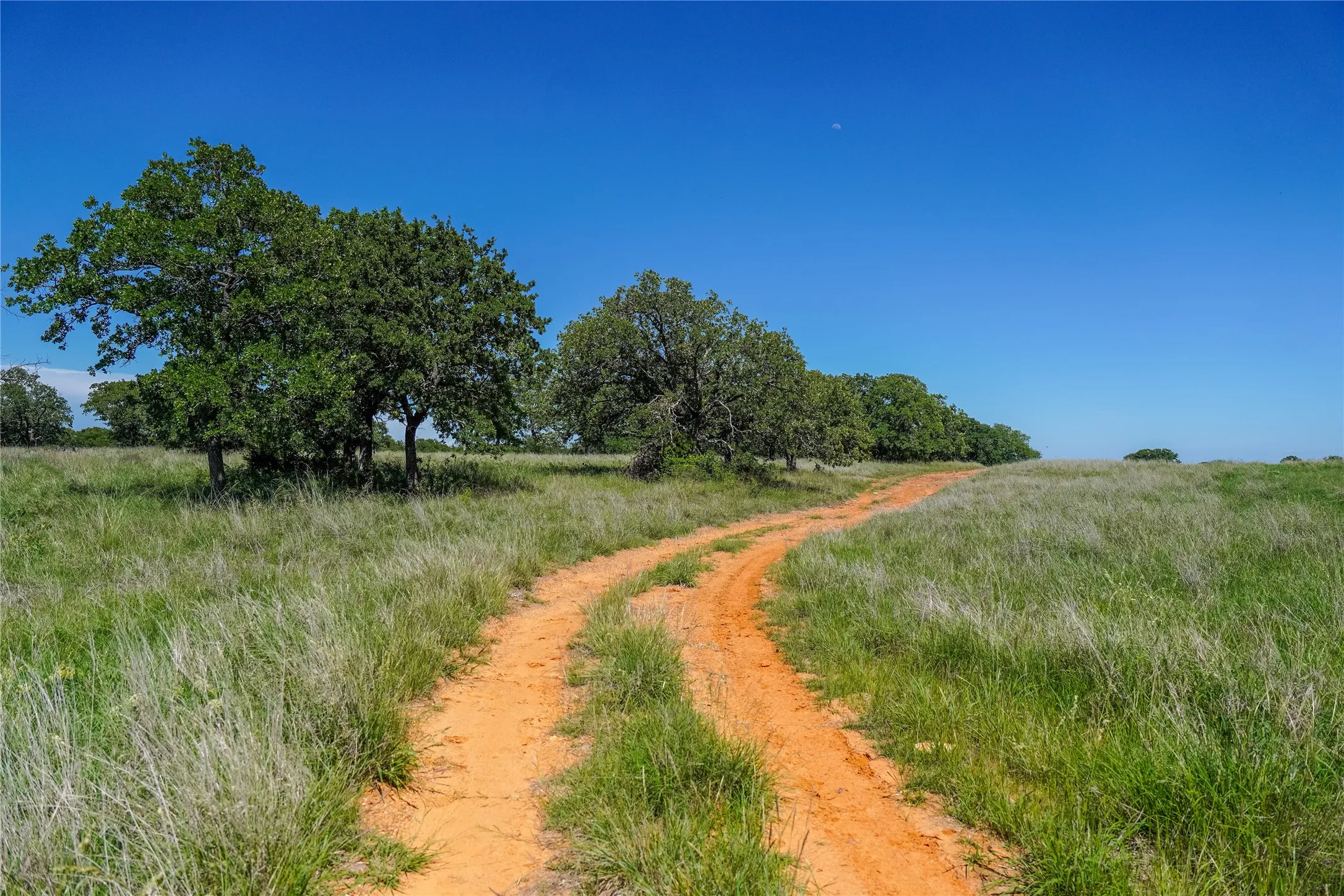 Ranch For Sale in Jack County , 136 Acres FM 2127, Bowie, Texas 76230, 0, 0, Garage spaces, 0 Sqft, built in 0, Price $1,360,000, mls#21264944, Real Estate Agent in Bowie, Homes For Sale in Jack county, Homes For Sale in Bowie, Realtor in Bowie Texas, Real Estate Brokerage Independent Realty Texas, Luminita Cordes Realtor