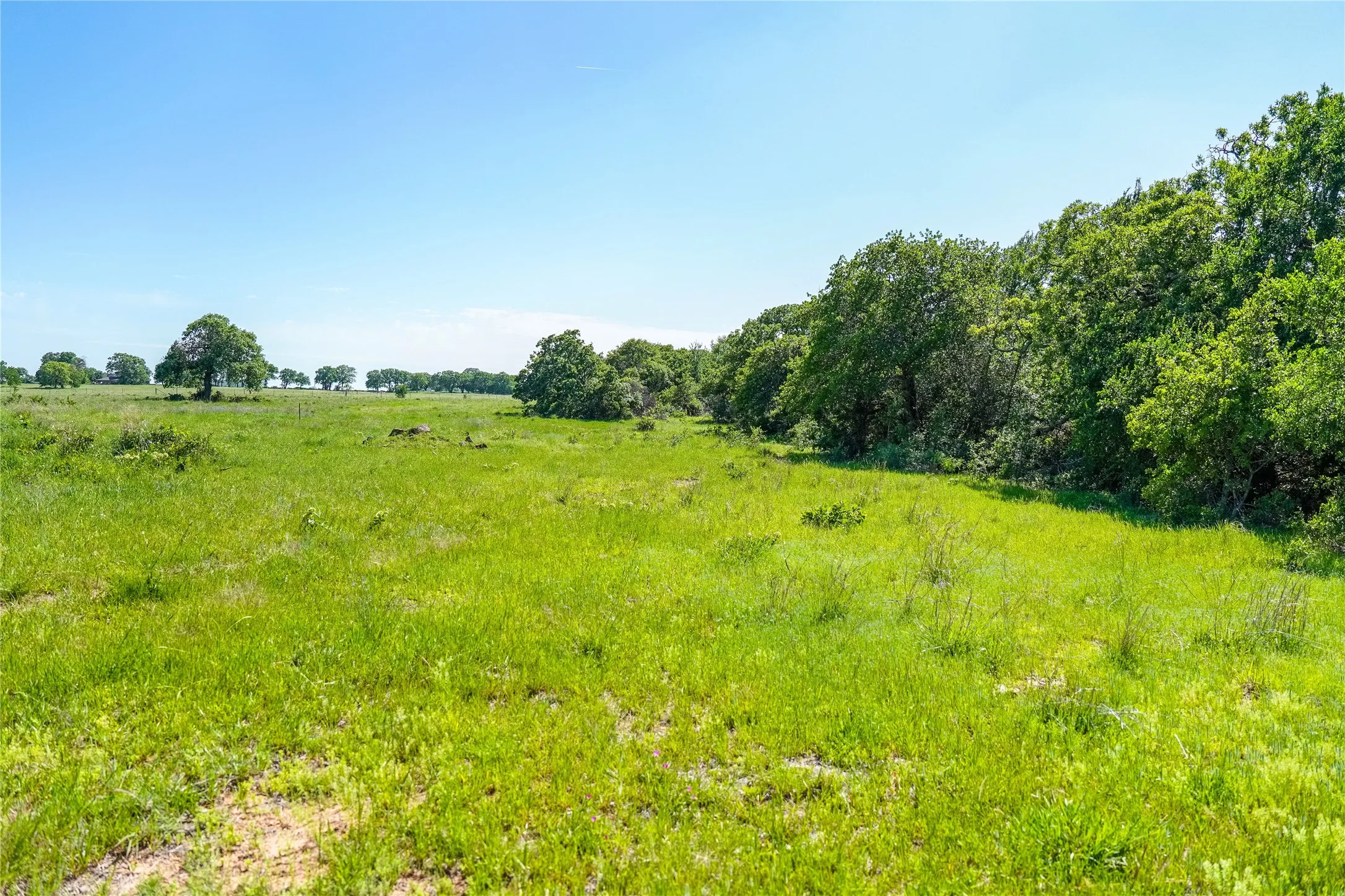 Ranch For Sale in Jack County , 136 Acres FM 2127, Bowie, Texas 76230, 0, 0, Garage spaces, 0 Sqft, built in 0, Price $1,360,000, mls#21264944, Real Estate Agent in Bowie, Homes For Sale in Jack county, Homes For Sale in Bowie, Realtor in Bowie Texas, Real Estate Brokerage Independent Realty Texas, Luminita Cordes Realtor