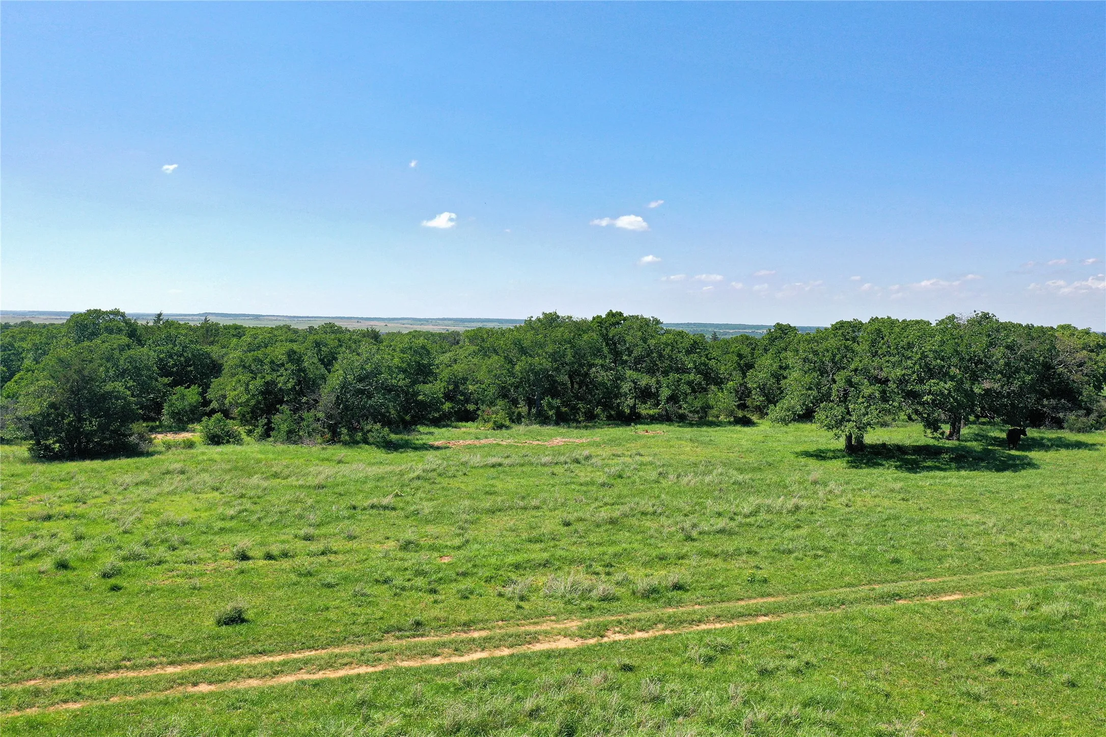 Ranch For Sale in Jack County , 136 Acres FM 2127, Bowie, Texas 76230, 0, 0, Garage spaces, 0 Sqft, built in 0, Price $1,360,000, mls#21264944, Real Estate Agent in Bowie, Homes For Sale in Jack county, Homes For Sale in Bowie, Realtor in Bowie Texas, Real Estate Brokerage Independent Realty Texas, Luminita Cordes Realtor