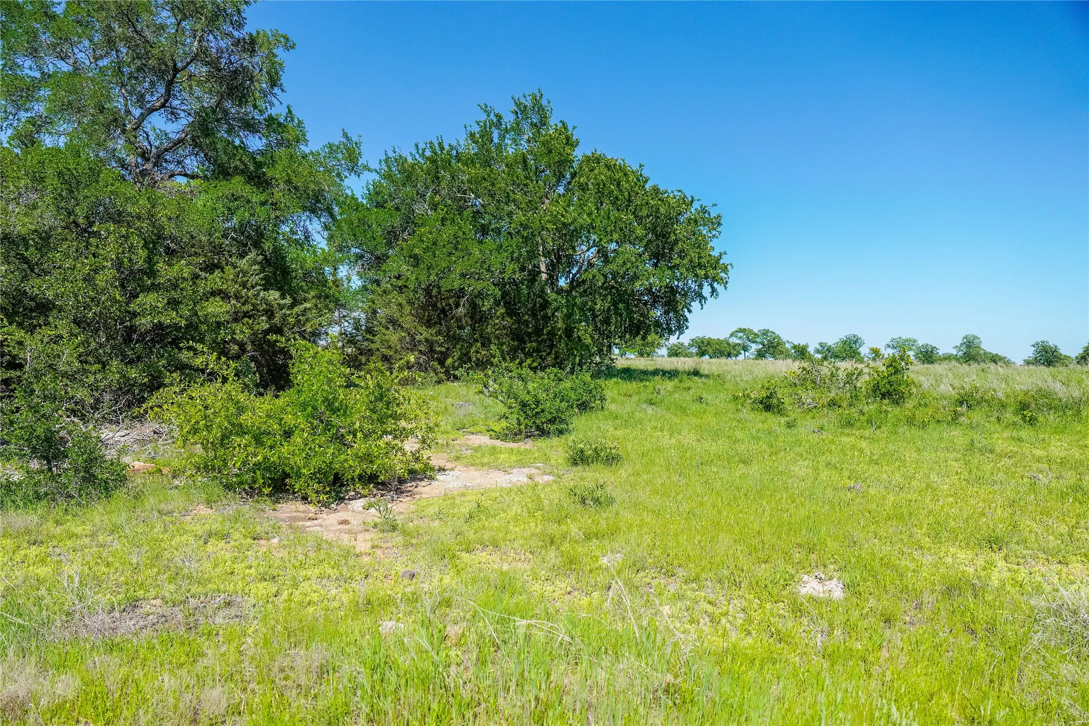 Ranch For Sale in Jack County , 136 Acres FM 2127, Bowie, Texas 76230, 0, 0, Garage spaces, 0 Sqft, built in 0, Price $1,360,000, mls#21264944, Real Estate Agent in Bowie, Homes For Sale in Jack county, Homes For Sale in Bowie, Realtor in Bowie Texas, Real Estate Brokerage Independent Realty Texas, Luminita Cordes Realtor