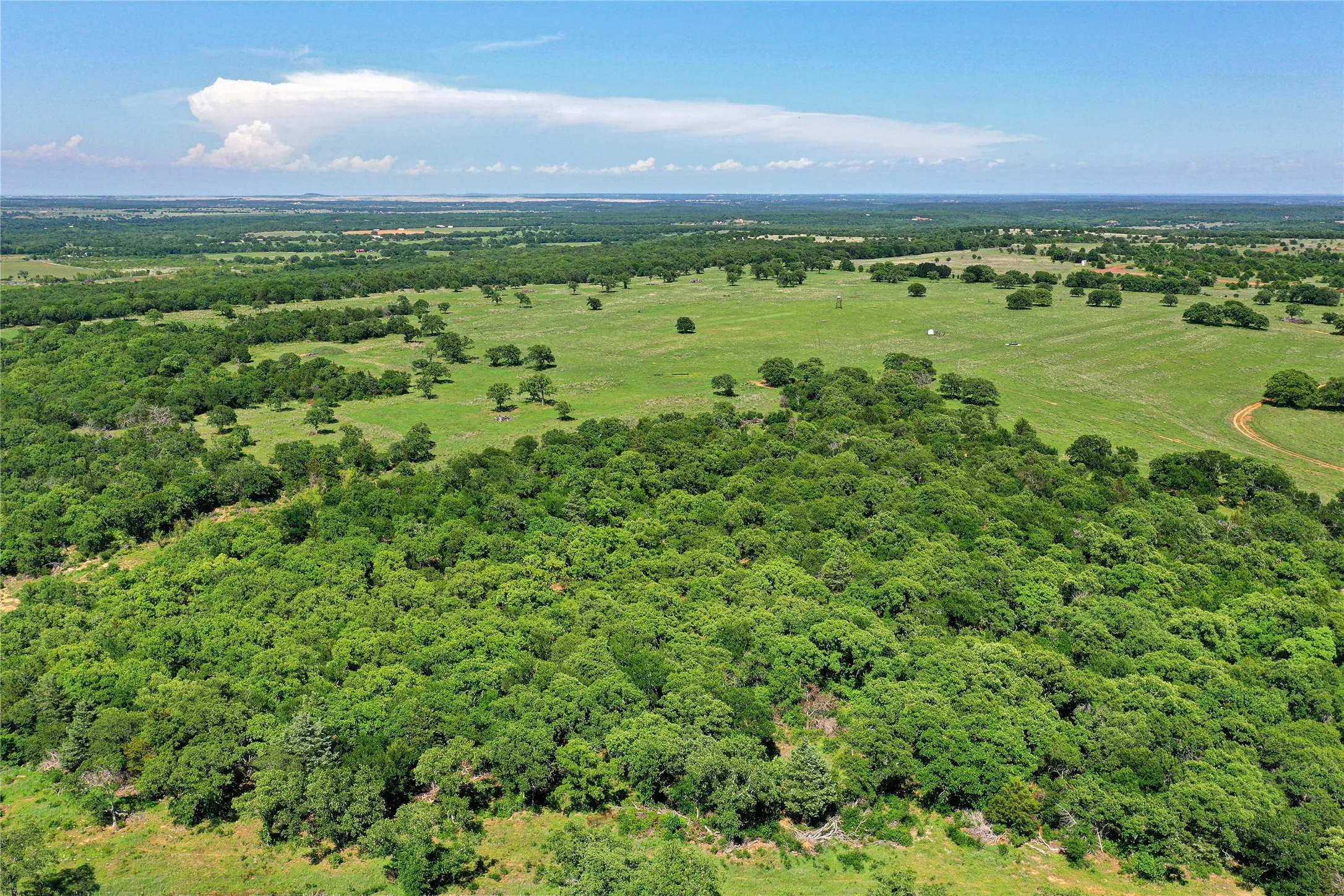 Ranch For Sale in Jack County , 136 Acres FM 2127, Bowie, Texas 76230, 0, 0, Garage spaces, 0 Sqft, built in 0, Price $1,360,000, mls#21264944, Real Estate Agent in Bowie, Homes For Sale in Jack county, Homes For Sale in Bowie, Realtor in Bowie Texas, Real Estate Brokerage Independent Realty Texas, Luminita Cordes Realtor