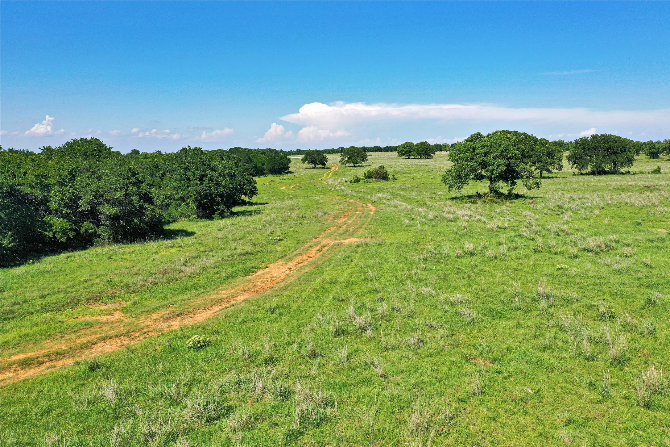 Ranch For Sale in Jack County , 136 Acres FM 2127, Bowie, Texas 76230, 0, 0, Garage spaces, 0 Sqft, built in 0, Price $1,360,000, mls#21264944, Real Estate Agent in Bowie, Homes For Sale in Jack county, Homes For Sale in Bowie, Realtor in Bowie Texas, Real Estate Brokerage Independent Realty Texas, Luminita Cordes Realtor
