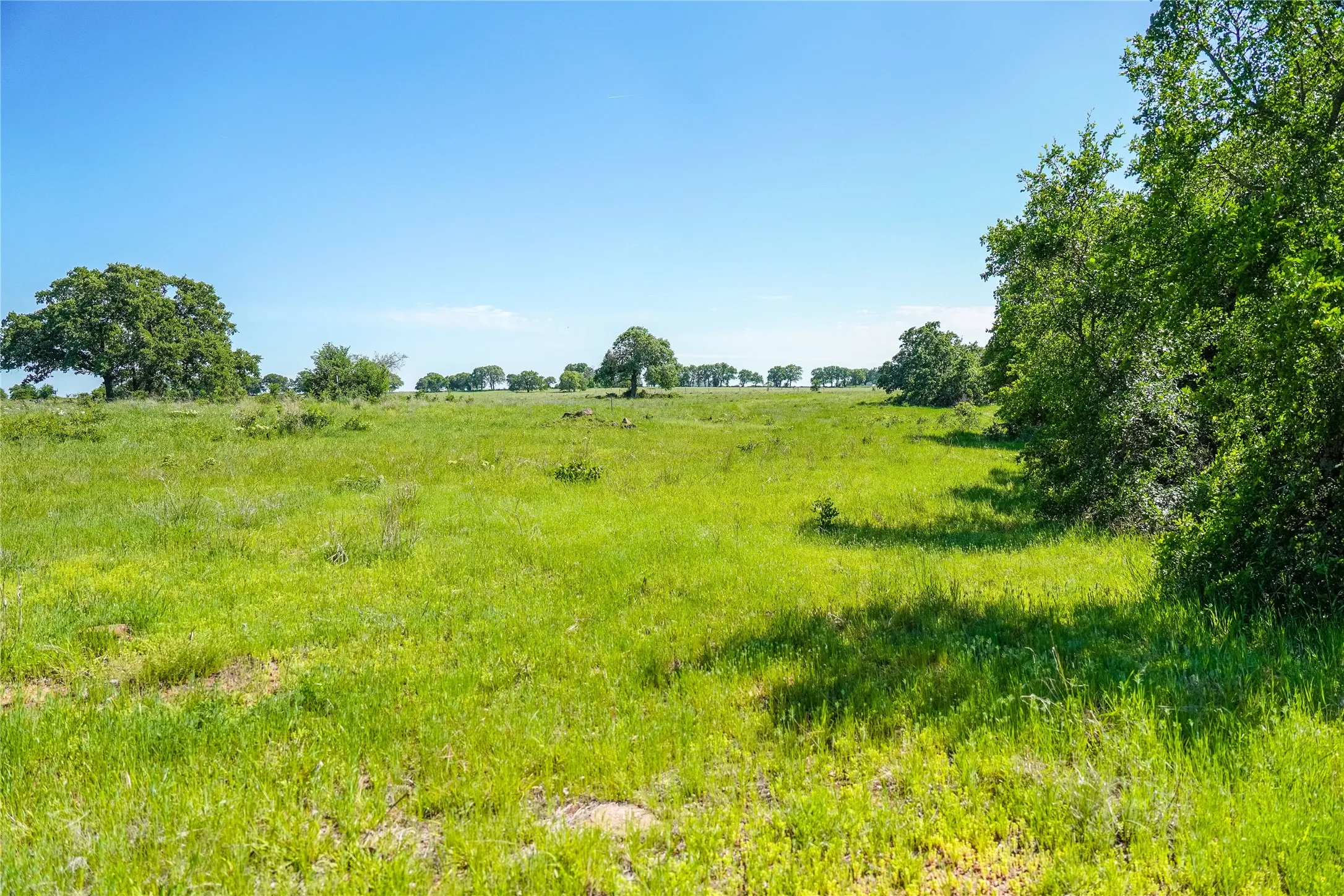 Ranch For Sale in Jack County , 136 Acres FM 2127, Bowie, Texas 76230, 0, 0, Garage spaces, 0 Sqft, built in 0, Price $1,360,000, mls#21264944, Real Estate Agent in Bowie, Homes For Sale in Jack county, Homes For Sale in Bowie, Realtor in Bowie Texas, Real Estate Brokerage Independent Realty Texas, Luminita Cordes Realtor
