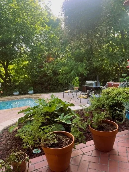 Terracotta patio featuring a swimming pool, stone coping, surrounding landscaping with mature trees, and an additional paved patio area