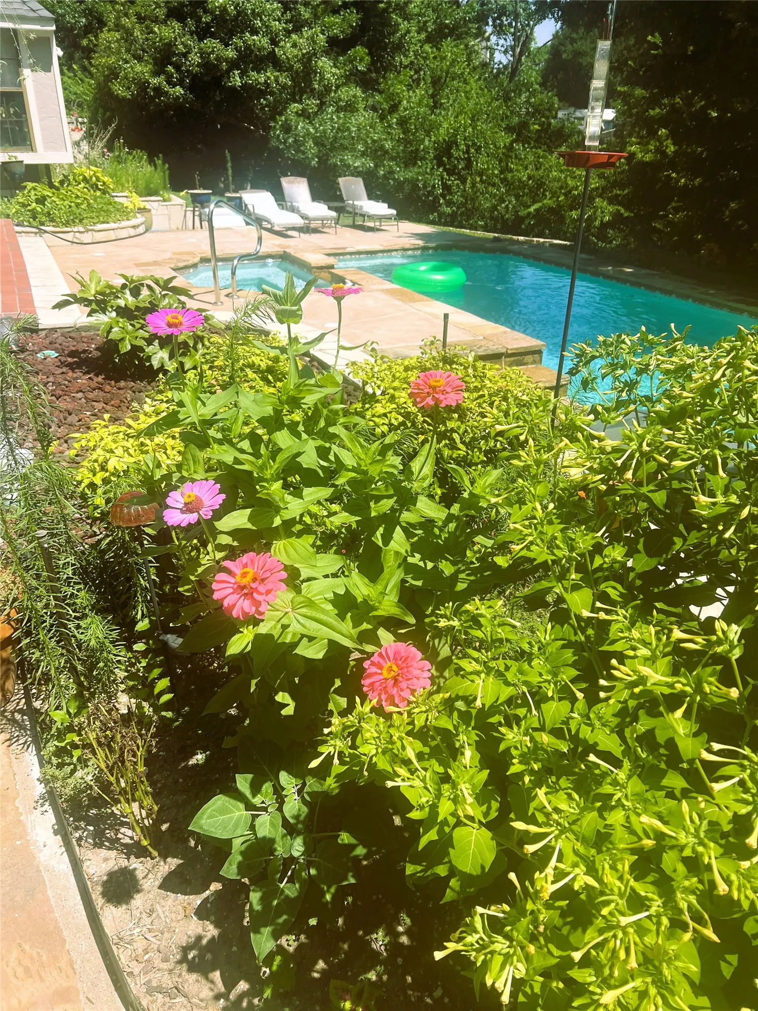 Expansive outdoor area featuring a swimming pool, integrated hot tub, and a surrounding paver patio