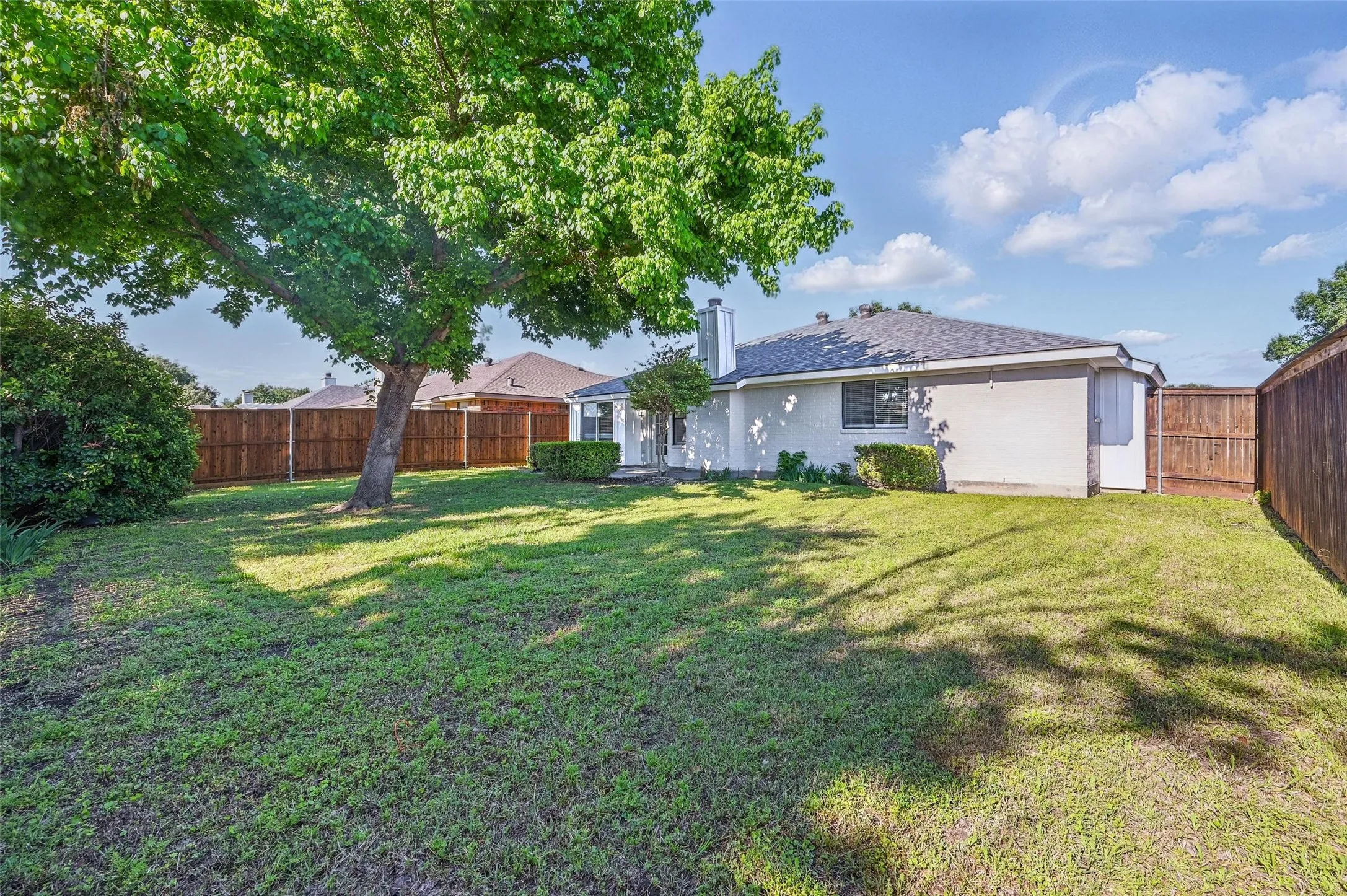 Large back yard