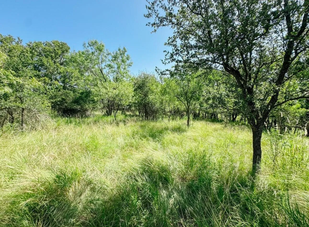 Improved Land For Sale in Brown County , 3105 Morris Sheppard Drive, Brownwood, Texas 76801, 0, 0, Garage spaces, 0 Sqft, built in 0, Price $413,885, mls#21266787, Real Estate Agent in Brownwood, Homes For Sale in Brown county, Homes For Sale in Brownwood, Realtor in Brownwood Texas, Real Estate Brokerage Independent Realty Texas, Luminita Cordes Realtor