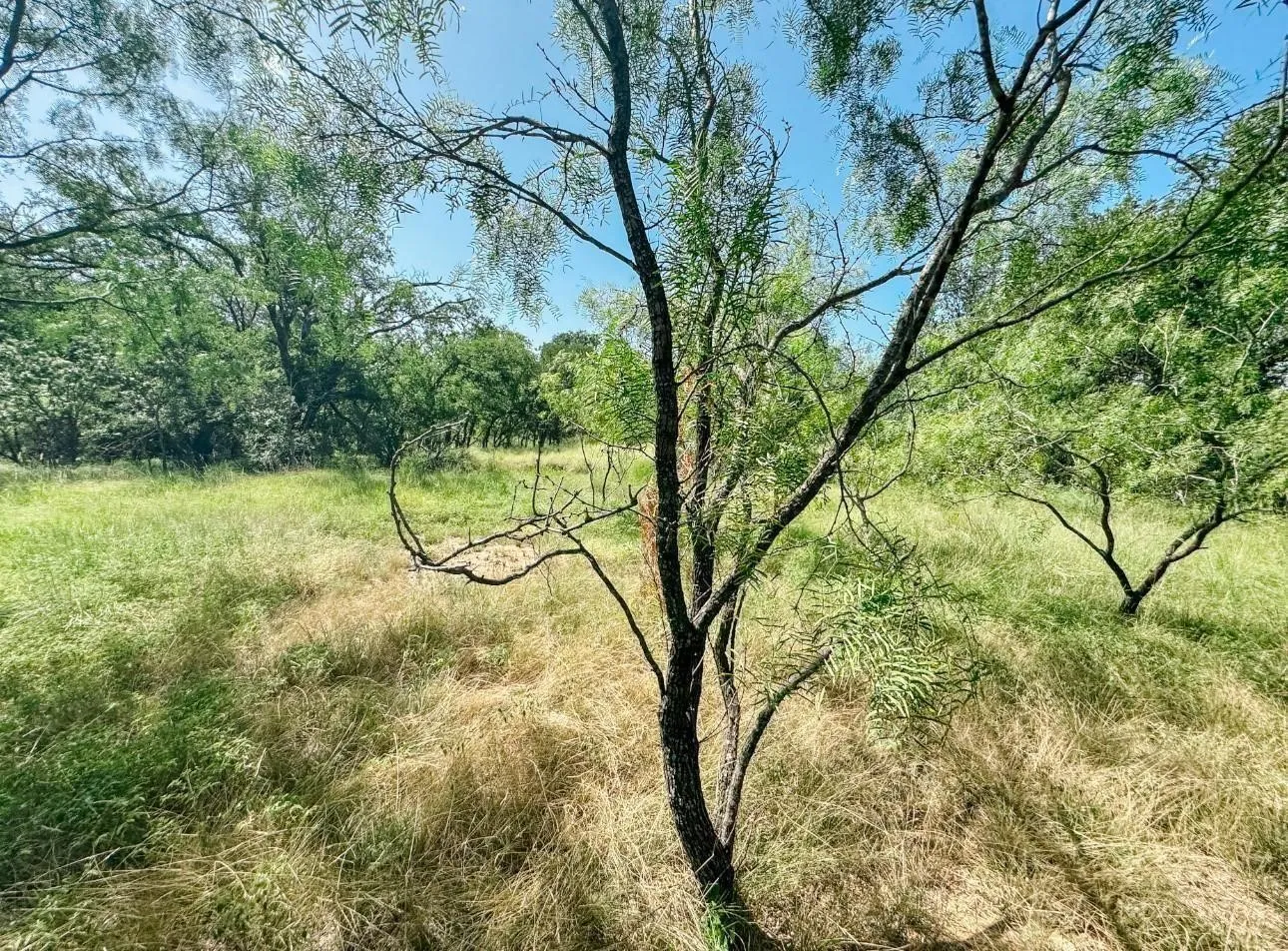 Improved Land For Sale in Brown County , 3105 Morris Sheppard Drive, Brownwood, Texas 76801, 0, 0, Garage spaces, 0 Sqft, built in 0, Price $413,885, mls#21266787, Real Estate Agent in Brownwood, Homes For Sale in Brown county, Homes For Sale in Brownwood, Realtor in Brownwood Texas, Real Estate Brokerage Independent Realty Texas, Luminita Cordes Realtor