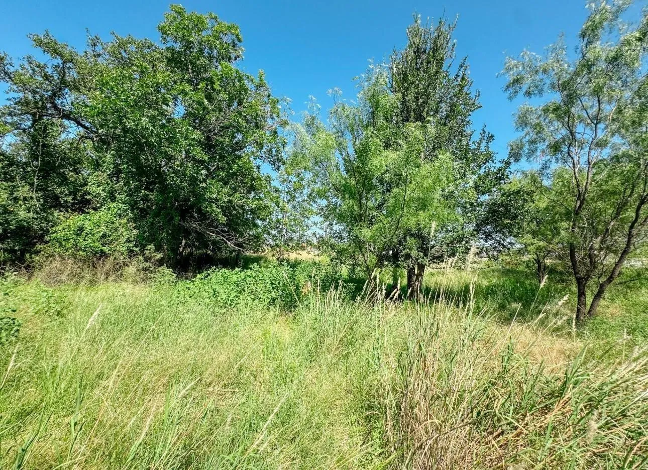 Improved Land For Sale in Brown County , 3105 Morris Sheppard Drive, Brownwood, Texas 76801, 0, 0, Garage spaces, 0 Sqft, built in 0, Price $413,885, mls#21266787, Real Estate Agent in Brownwood, Homes For Sale in Brown county, Homes For Sale in Brownwood, Realtor in Brownwood Texas, Real Estate Brokerage Independent Realty Texas, Luminita Cordes Realtor