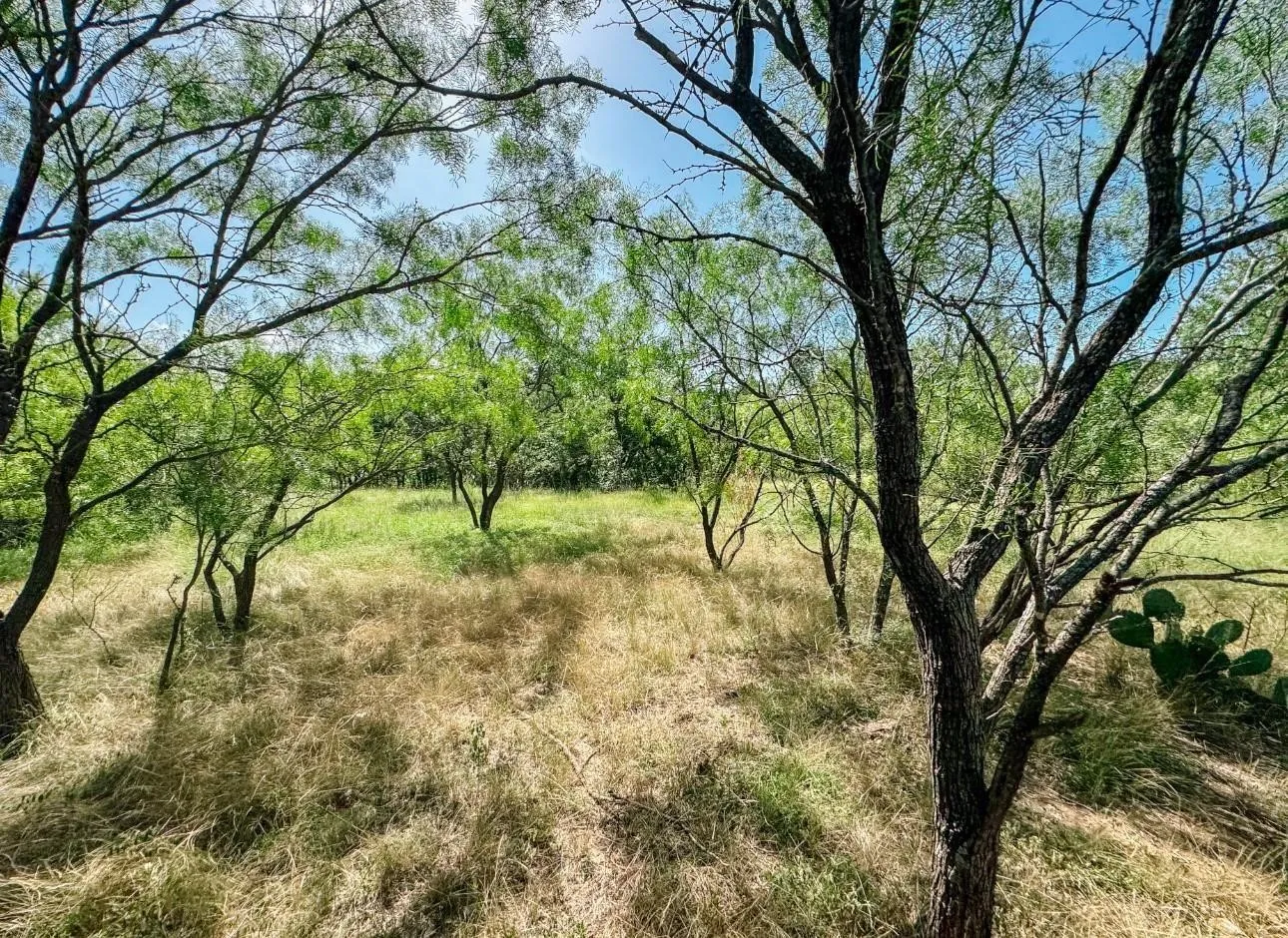 Unimproved Land For Sale in Brown County , Lot 6 Morris Sheppard Drive, Brownwood, Texas 76801, 0, 0, Garage spaces, 0 Sqft, built in 0, Price $138,000, mls#21266802, Real Estate Agent in Brownwood, Homes For Sale in Brown county, Homes For Sale in Brownwood, Realtor in Brownwood Texas, Real Estate Brokerage Independent Realty Texas, Luminita Cordes Realtor