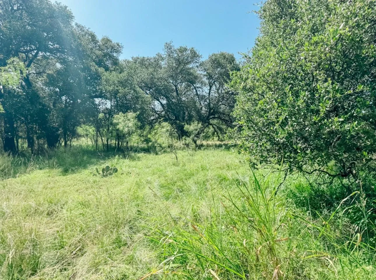 Unimproved Land For Sale in Brown County , Lot 6 Morris Sheppard Drive, Brownwood, Texas 76801, 0, 0, Garage spaces, 0 Sqft, built in 0, Price $138,000, mls#21266802, Real Estate Agent in Brownwood, Homes For Sale in Brown county, Homes For Sale in Brownwood, Realtor in Brownwood Texas, Real Estate Brokerage Independent Realty Texas, Luminita Cordes Realtor