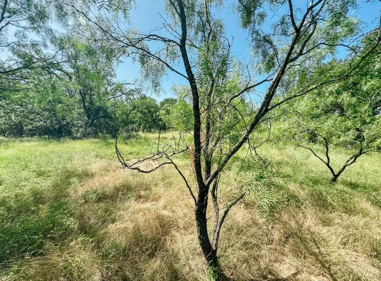 Unimproved Land For Sale in Brown County , Lot 6 Morris Sheppard Drive, Brownwood, Texas 76801, 0, 0, Garage spaces, 0 Sqft, built in 0, Price $138,000, mls#21266802, Real Estate Agent in Brownwood, Homes For Sale in Brown county, Homes For Sale in Brownwood, Realtor in Brownwood Texas, Real Estate Brokerage Independent Realty Texas, Luminita Cordes Realtor