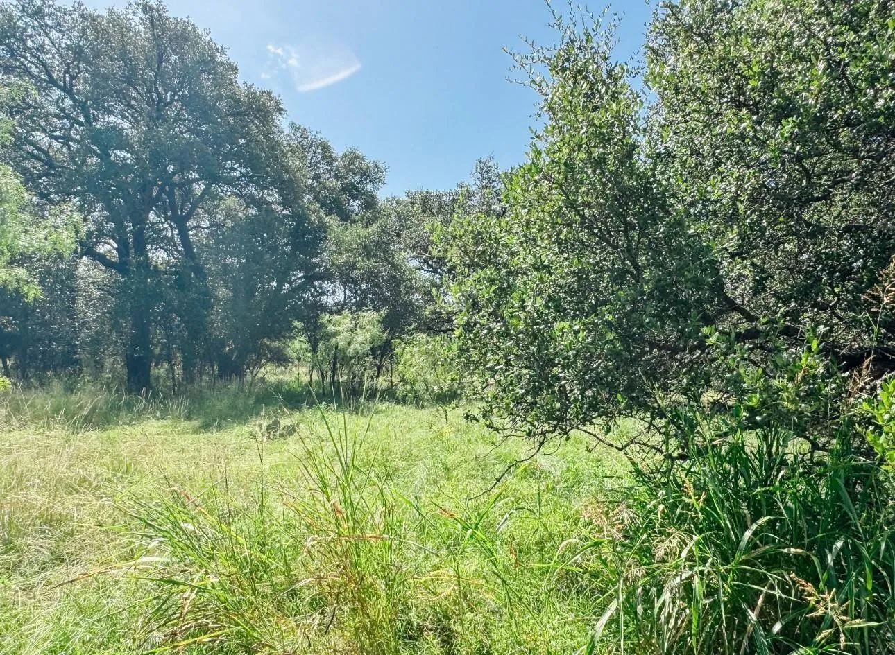 Unimproved Land For Sale in Brown County , Lot 6 Morris Sheppard Drive, Brownwood, Texas 76801, 0, 0, Garage spaces, 0 Sqft, built in 0, Price $138,000, mls#21266802, Real Estate Agent in Brownwood, Homes For Sale in Brown county, Homes For Sale in Brownwood, Realtor in Brownwood Texas, Real Estate Brokerage Independent Realty Texas, Luminita Cordes Realtor