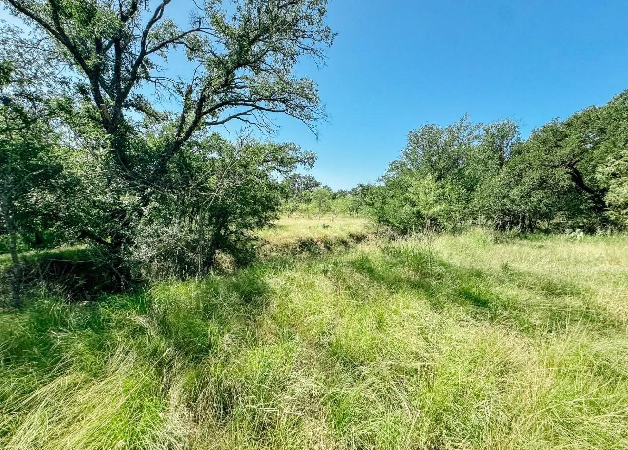 Unimproved Land For Sale in Brown County , Lot 6 Morris Sheppard Drive, Brownwood, Texas 76801, 0, 0, Garage spaces, 0 Sqft, built in 0, Price $138,000, mls#21266802, Real Estate Agent in Brownwood, Homes For Sale in Brown county, Homes For Sale in Brownwood, Realtor in Brownwood Texas, Real Estate Brokerage Independent Realty Texas, Luminita Cordes Realtor