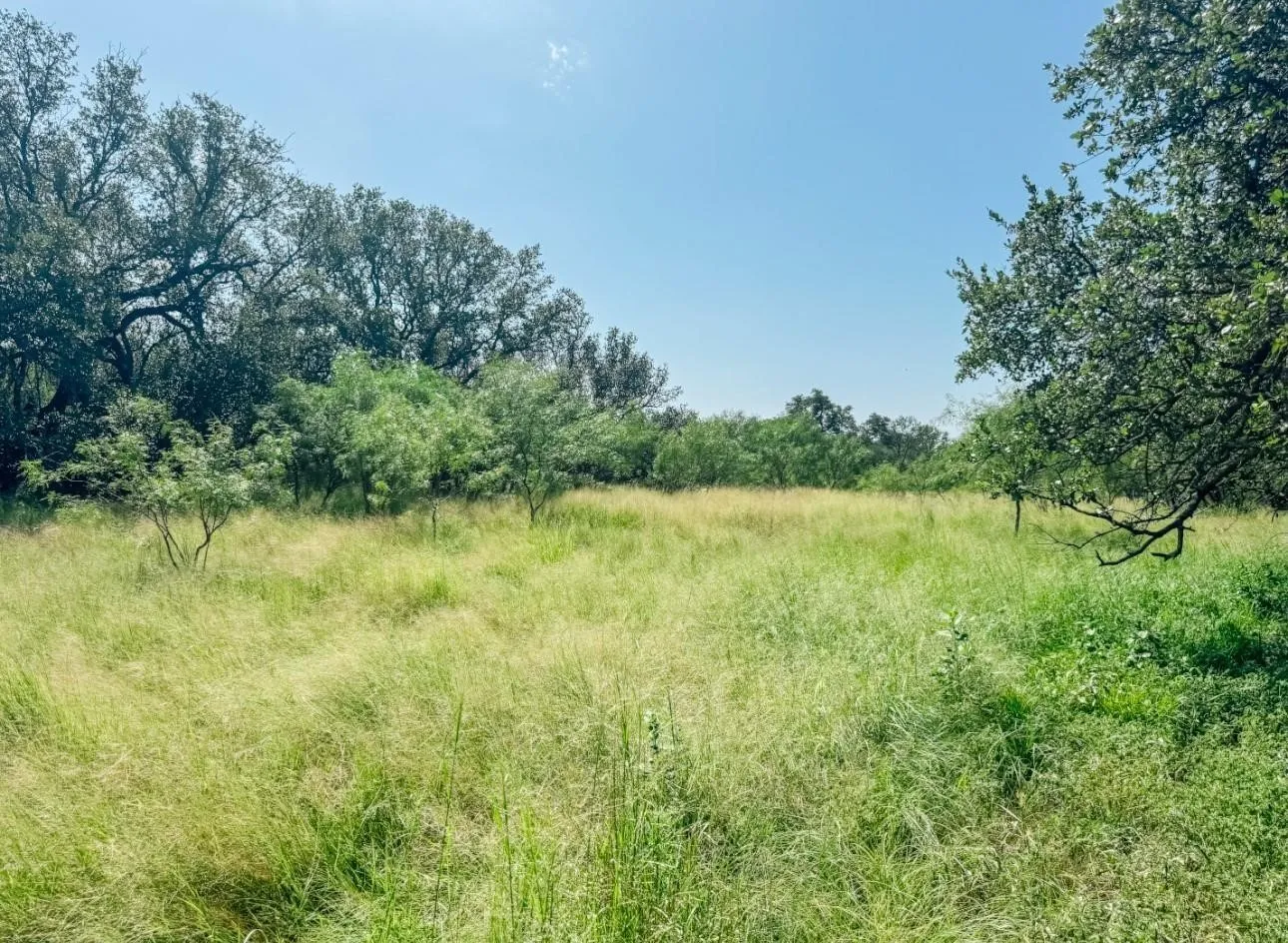 Unimproved Land For Sale in Brown County , Lot 6 Morris Sheppard Drive, Brownwood, Texas 76801, 0, 0, Garage spaces, 0 Sqft, built in 0, Price $138,000, mls#21266802, Real Estate Agent in Brownwood, Homes For Sale in Brown county, Homes For Sale in Brownwood, Realtor in Brownwood Texas, Real Estate Brokerage Independent Realty Texas, Luminita Cordes Realtor