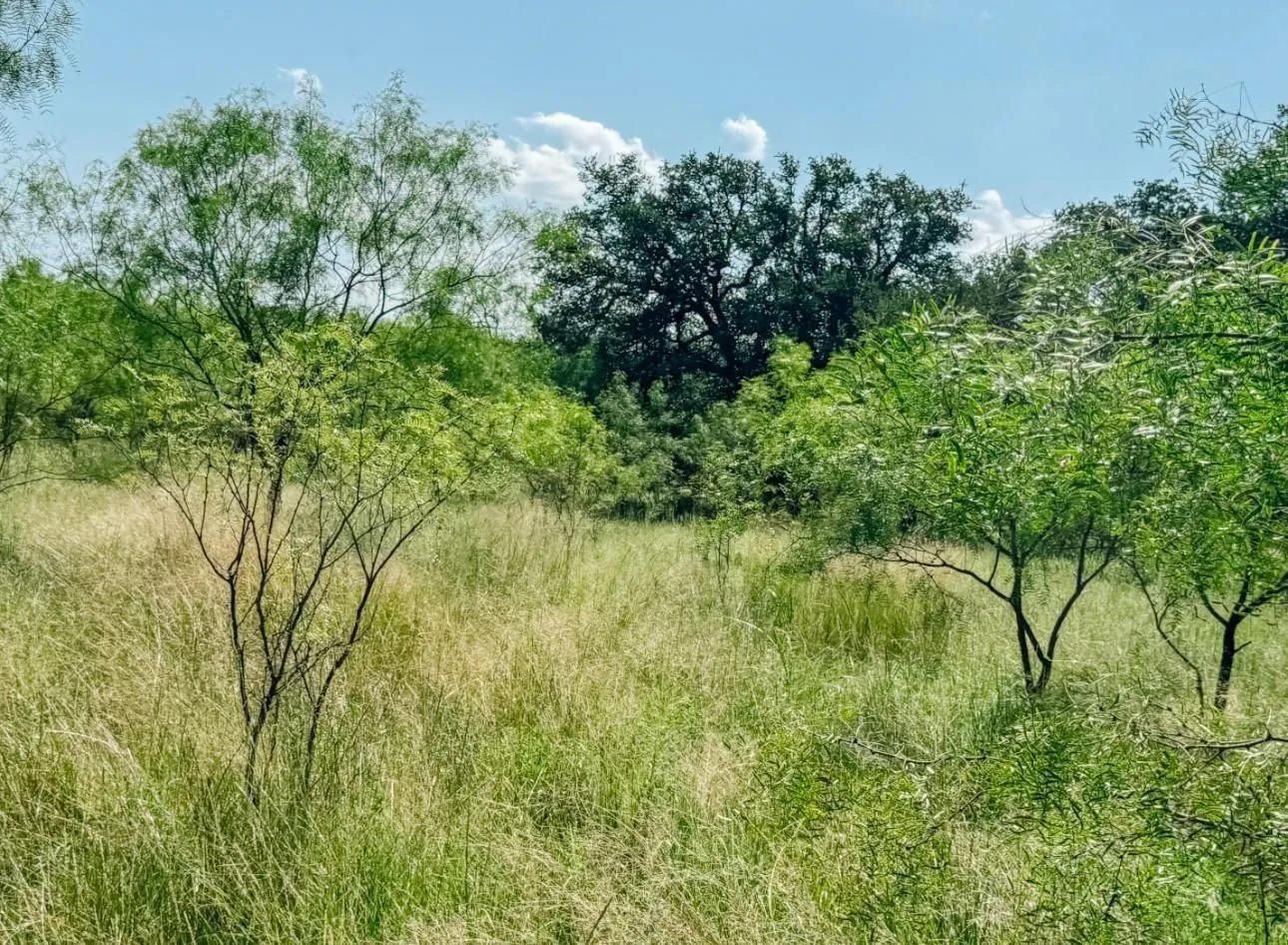 Unimproved Land For Sale in Brown County , Lot 6 Morris Sheppard Drive, Brownwood, Texas 76801, 0, 0, Garage spaces, 0 Sqft, built in 0, Price $138,000, mls#21266802, Real Estate Agent in Brownwood, Homes For Sale in Brown county, Homes For Sale in Brownwood, Realtor in Brownwood Texas, Real Estate Brokerage Independent Realty Texas, Luminita Cordes Realtor