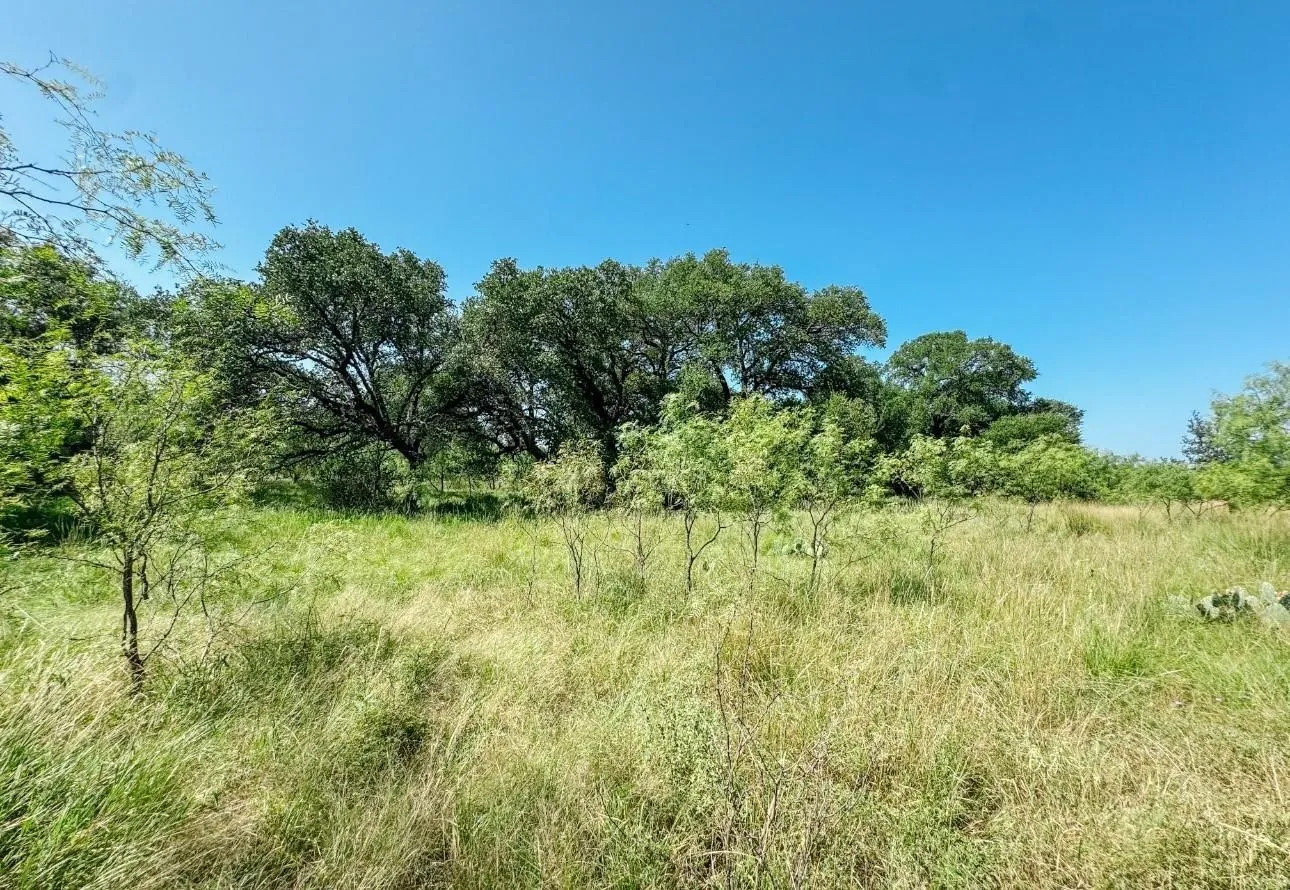 Unimproved Land For Sale in Brown County , Lot 6 Morris Sheppard Drive, Brownwood, Texas 76801, 0, 0, Garage spaces, 0 Sqft, built in 0, Price $138,000, mls#21266802, Real Estate Agent in Brownwood, Homes For Sale in Brown county, Homes For Sale in Brownwood, Realtor in Brownwood Texas, Real Estate Brokerage Independent Realty Texas, Luminita Cordes Realtor
