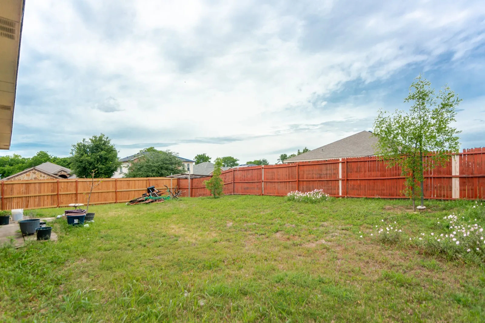 Spacious backyard featuring a wood privacy fence, natural grass, and a young tree