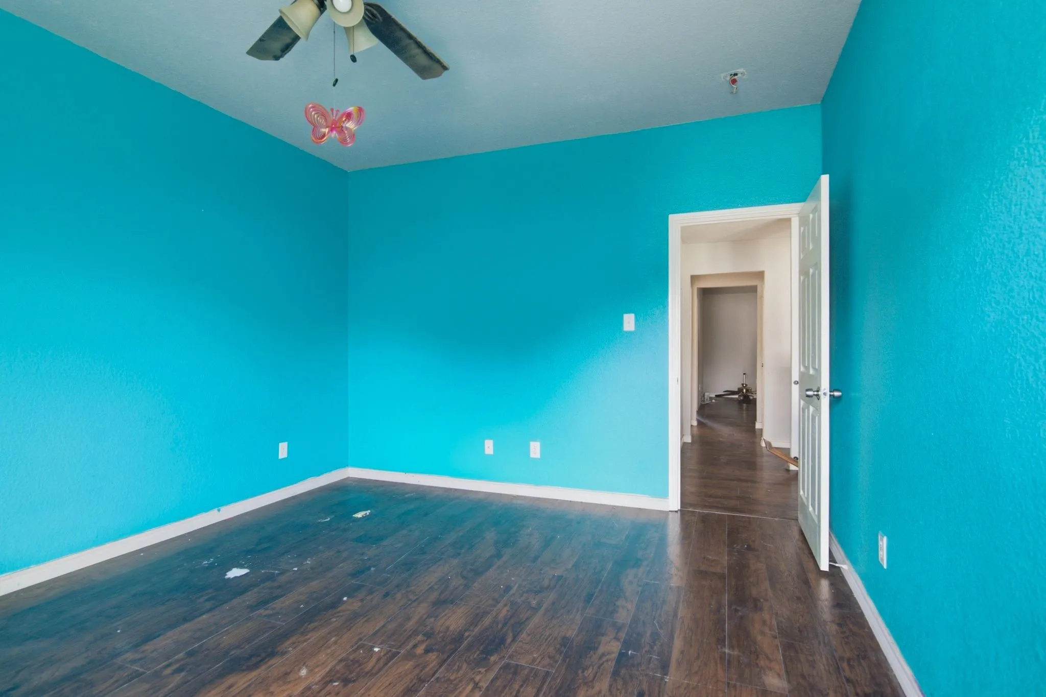Room featuring wood-finish flooring, vibrant blue walls, and a white ceiling with a mounted ceiling fan