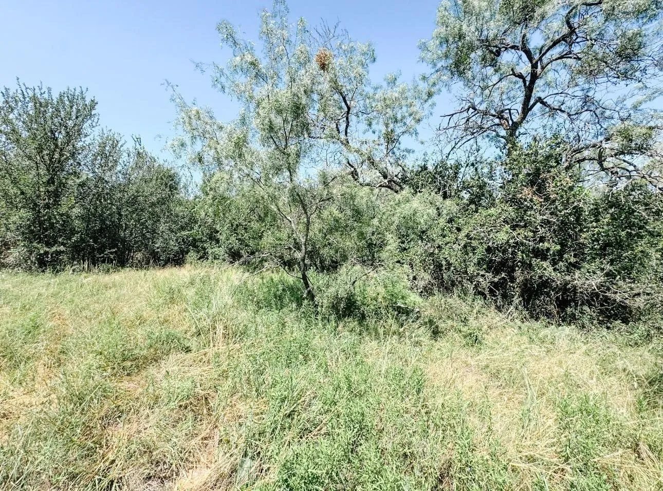 Unimproved Land For Sale in Brown County , Lot 11 Morris Sheppard Drive, Brownwood, Texas 76801, 0, 0, Garage spaces, 0 Sqft, built in 0, Price $206,885, mls#21266829, Real Estate Agent in Brownwood, Homes For Sale in Brown county, Homes For Sale in Brownwood, Realtor in Brownwood Texas, Real Estate Brokerage Independent Realty Texas, Luminita Cordes Realtor