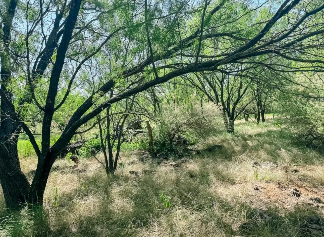 Unimproved Land For Sale in Brown County , Lot 11 Morris Sheppard Drive, Brownwood, Texas 76801, 0, 0, Garage spaces, 0 Sqft, built in 0, Price $206,885, mls#21266829, Real Estate Agent in Brownwood, Homes For Sale in Brown county, Homes For Sale in Brownwood, Realtor in Brownwood Texas, Real Estate Brokerage Independent Realty Texas, Luminita Cordes Realtor