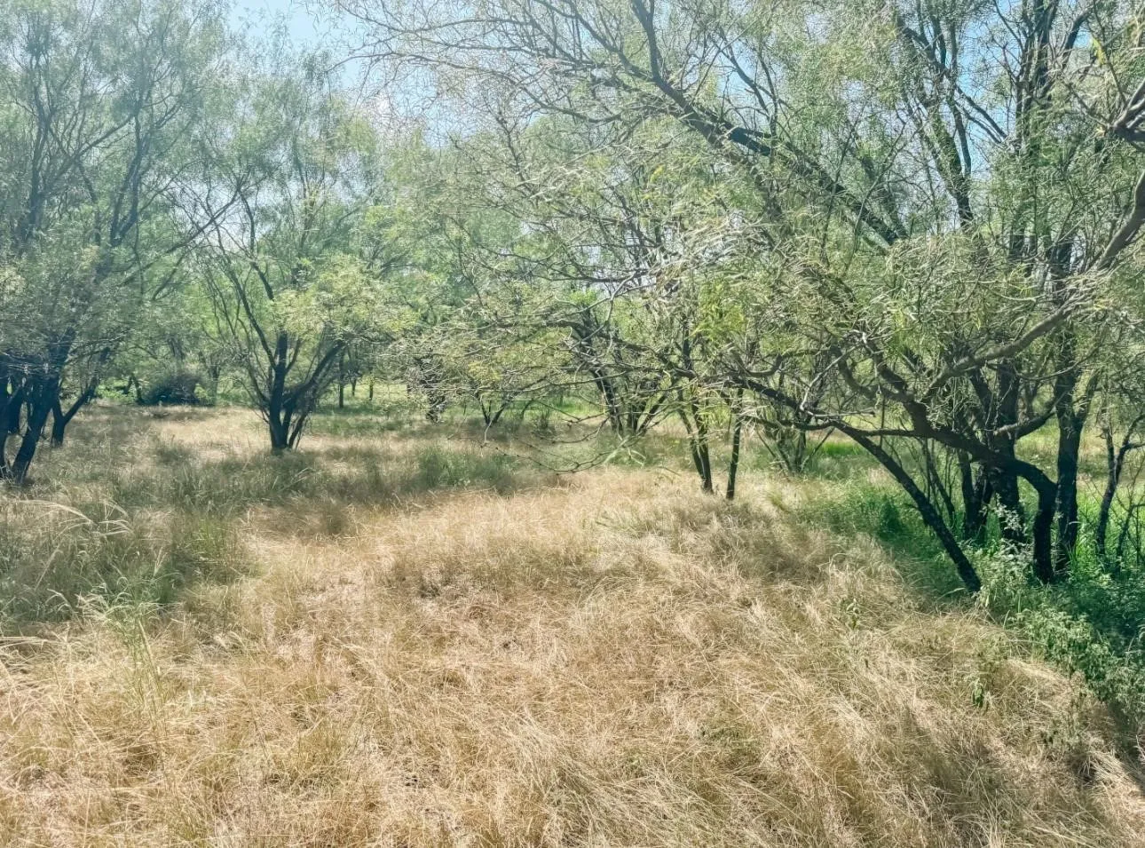 Unimproved Land For Sale in Brown County , Lot 11 Morris Sheppard Drive, Brownwood, Texas 76801, 0, 0, Garage spaces, 0 Sqft, built in 0, Price $206,885, mls#21266829, Real Estate Agent in Brownwood, Homes For Sale in Brown county, Homes For Sale in Brownwood, Realtor in Brownwood Texas, Real Estate Brokerage Independent Realty Texas, Luminita Cordes Realtor