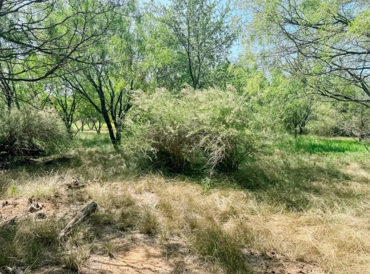 Unimproved Land For Sale in Brown County , Lot 11 Morris Sheppard Drive, Brownwood, Texas 76801, 0, 0, Garage spaces, 0 Sqft, built in 0, Price $206,885, mls#21266829, Real Estate Agent in Brownwood, Homes For Sale in Brown county, Homes For Sale in Brownwood, Realtor in Brownwood Texas, Real Estate Brokerage Independent Realty Texas, Luminita Cordes Realtor