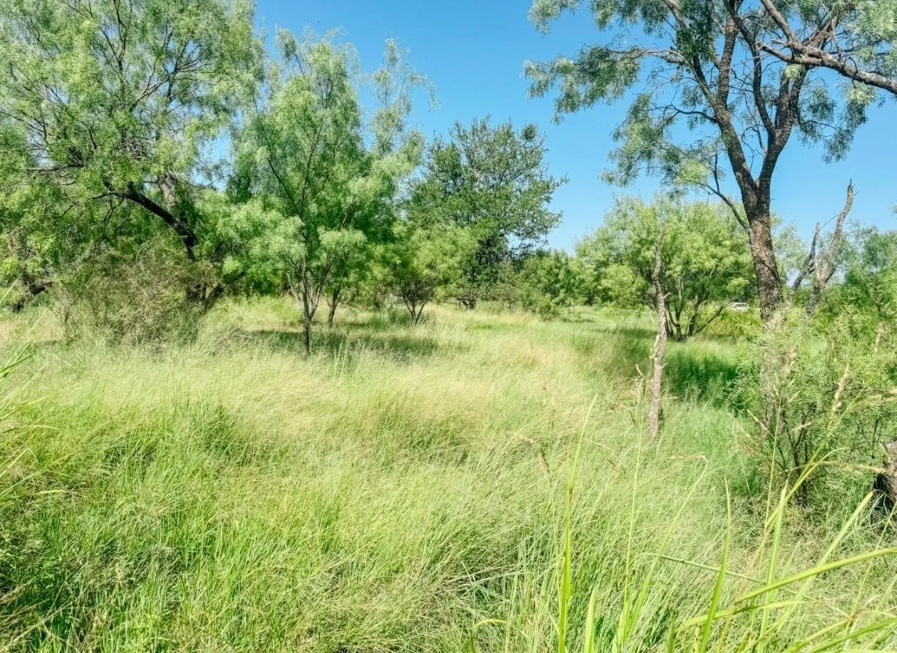 Unimproved Land For Sale in Brown County , Lot 11 Morris Sheppard Drive, Brownwood, Texas 76801, 0, 0, Garage spaces, 0 Sqft, built in 0, Price $206,885, mls#21266829, Real Estate Agent in Brownwood, Homes For Sale in Brown county, Homes For Sale in Brownwood, Realtor in Brownwood Texas, Real Estate Brokerage Independent Realty Texas, Luminita Cordes Realtor