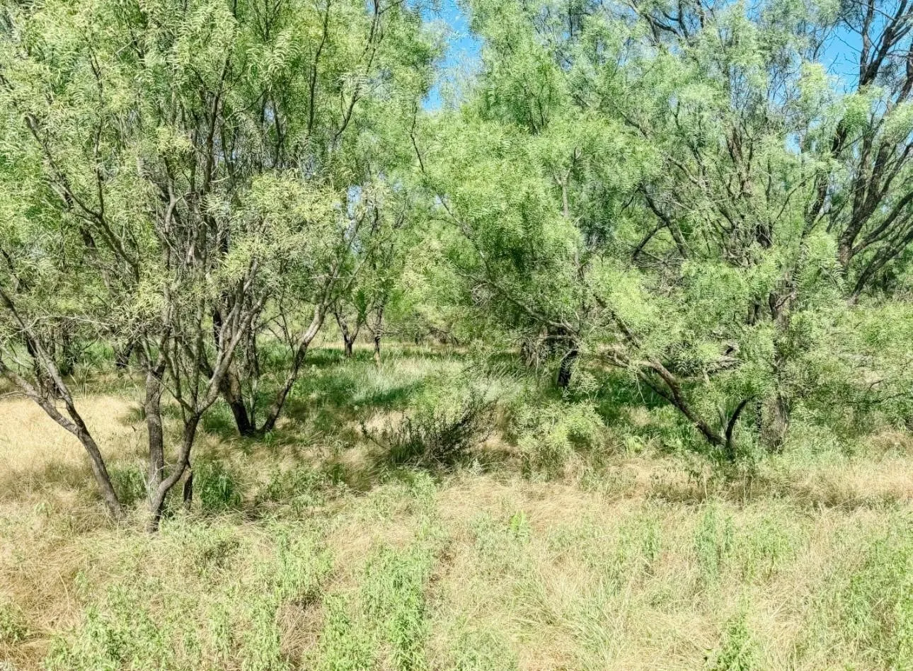 Unimproved Land For Sale in Brown County , Lot 11 Morris Sheppard Drive, Brownwood, Texas 76801, 0, 0, Garage spaces, 0 Sqft, built in 0, Price $206,885, mls#21266829, Real Estate Agent in Brownwood, Homes For Sale in Brown county, Homes For Sale in Brownwood, Realtor in Brownwood Texas, Real Estate Brokerage Independent Realty Texas, Luminita Cordes Realtor
