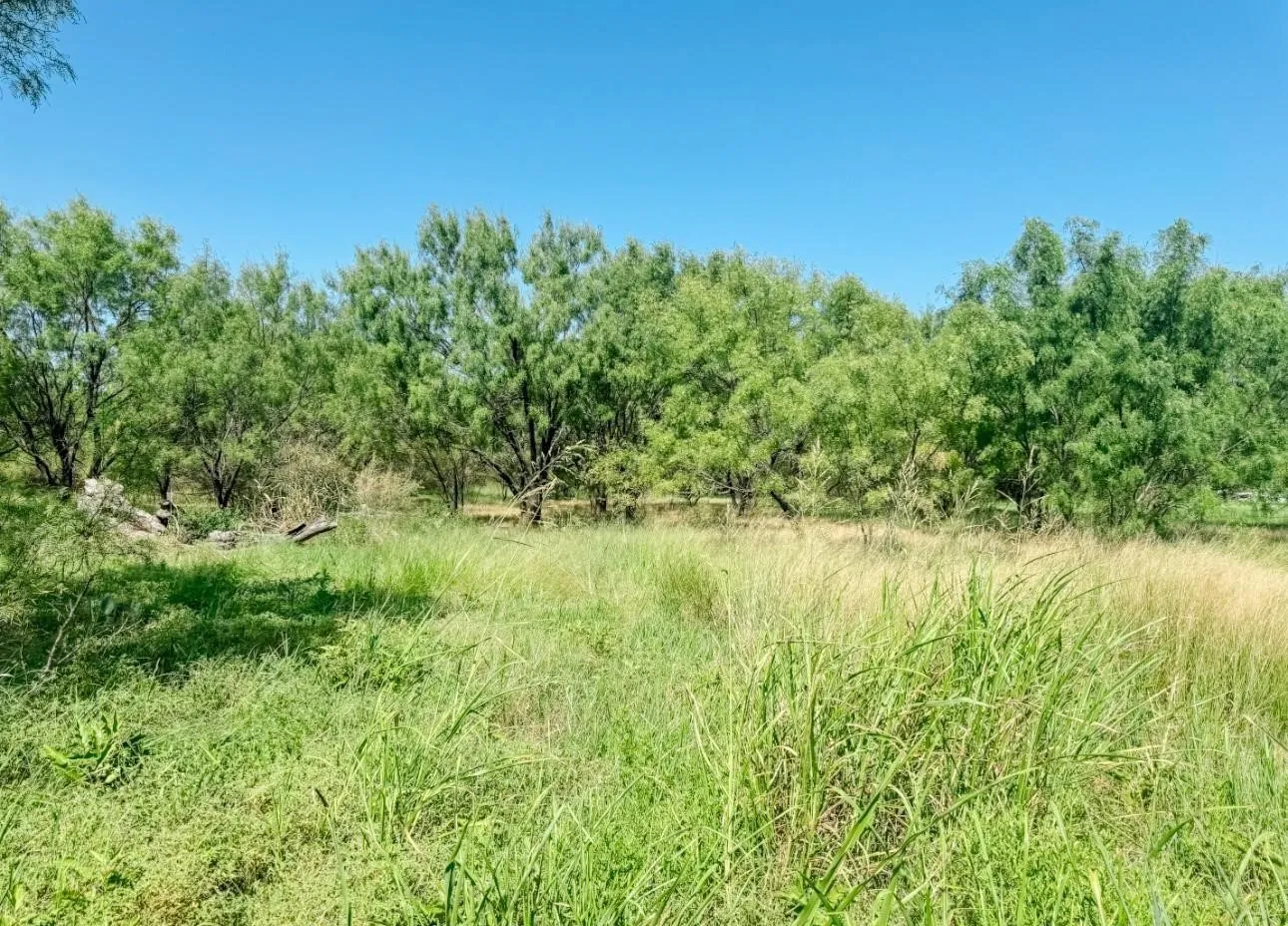 Unimproved Land For Sale in Brown County , Lot 11 Morris Sheppard Drive, Brownwood, Texas 76801, 0, 0, Garage spaces, 0 Sqft, built in 0, Price $206,885, mls#21266829, Real Estate Agent in Brownwood, Homes For Sale in Brown county, Homes For Sale in Brownwood, Realtor in Brownwood Texas, Real Estate Brokerage Independent Realty Texas, Luminita Cordes Realtor