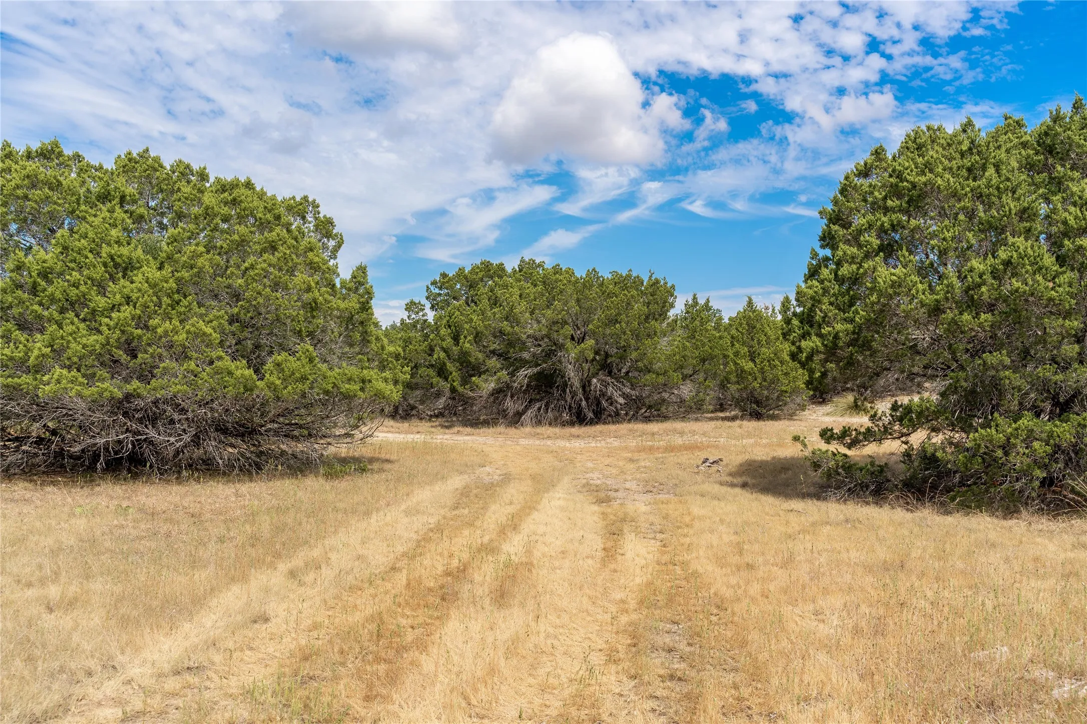 Unimproved Land For Sale in Bell County , 1934 Live Oak Cemetery Road, Killeen, Texas 76542, 0, 0, Garage spaces, 0 Sqft, built in 0, Price $1,300,000, mls#21266094, Real Estate Agent in Killeen, Homes For Sale in Bell county, Homes For Sale in Killeen, Realtor in Killeen Texas, Real Estate Brokerage Independent Realty Texas, Luminita Cordes Realtor