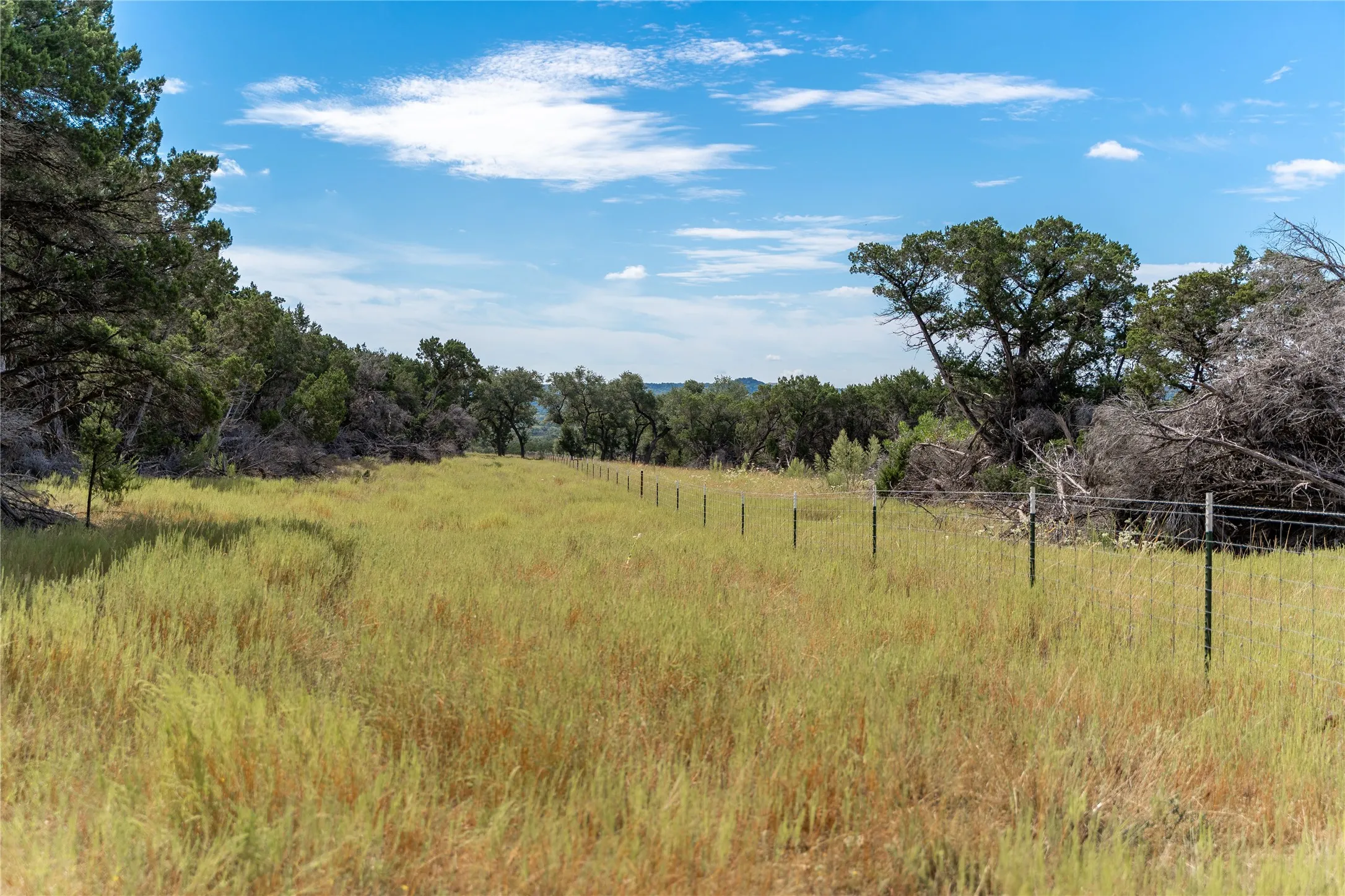 Unimproved Land For Sale in Bell County , 1934 Live Oak Cemetery Road, Killeen, Texas 76542, 0, 0, Garage spaces, 0 Sqft, built in 0, Price $1,300,000, mls#21266094, Real Estate Agent in Killeen, Homes For Sale in Bell county, Homes For Sale in Killeen, Realtor in Killeen Texas, Real Estate Brokerage Independent Realty Texas, Luminita Cordes Realtor