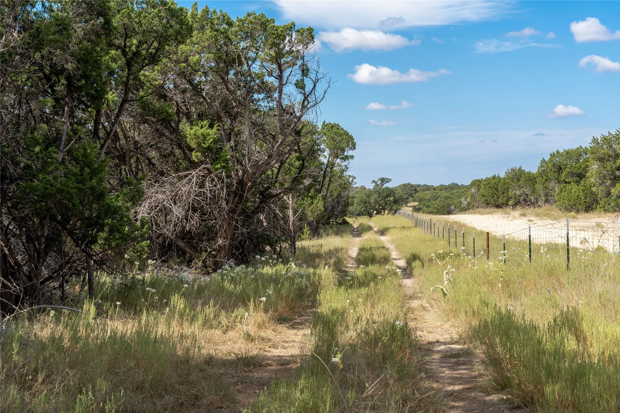 Unimproved Land For Sale in Bell County , 1934 Live Oak Cemetery Road, Killeen, Texas 76542, 0, 0, Garage spaces, 0 Sqft, built in 0, Price $1,300,000, mls#21266094, Real Estate Agent in Killeen, Homes For Sale in Bell county, Homes For Sale in Killeen, Realtor in Killeen Texas, Real Estate Brokerage Independent Realty Texas, Luminita Cordes Realtor