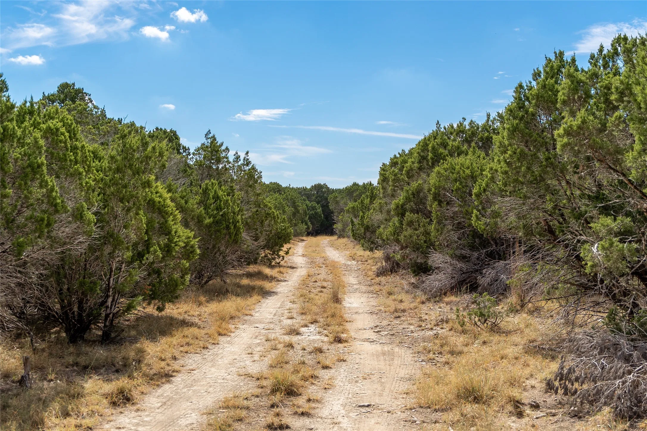 Unimproved Land For Sale in Bell County , 1934 Live Oak Cemetery Road, Killeen, Texas 76542, 0, 0, Garage spaces, 0 Sqft, built in 0, Price $1,300,000, mls#21266094, Real Estate Agent in Killeen, Homes For Sale in Bell county, Homes For Sale in Killeen, Realtor in Killeen Texas, Real Estate Brokerage Independent Realty Texas, Luminita Cordes Realtor