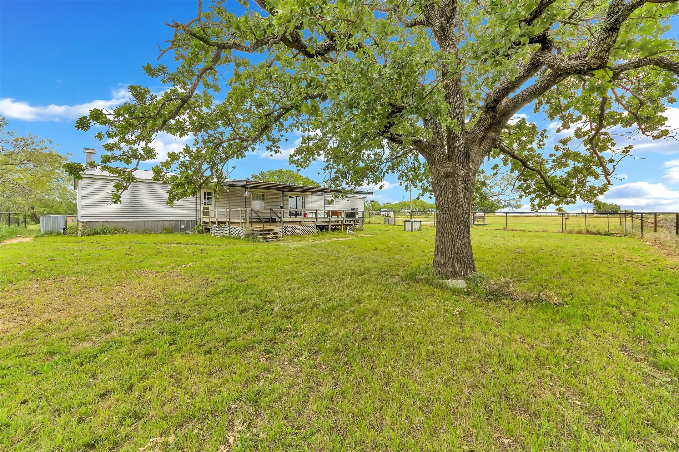 Expansive green lawn featuring a mature tree